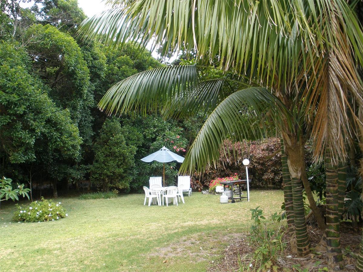 The Broken Banyan view 5