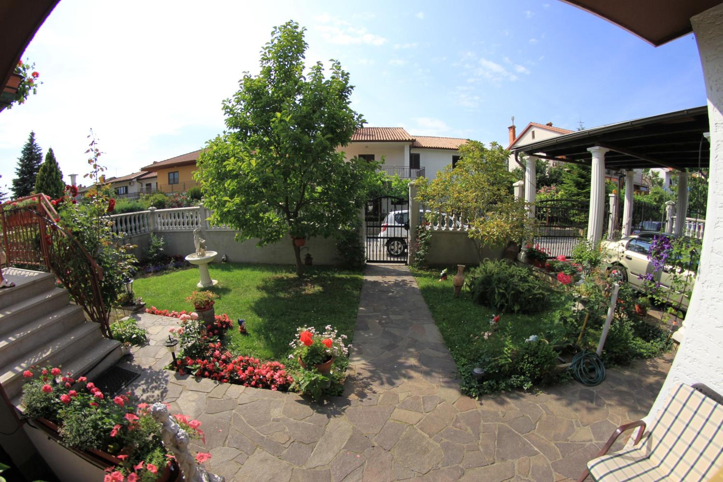 Photo 24