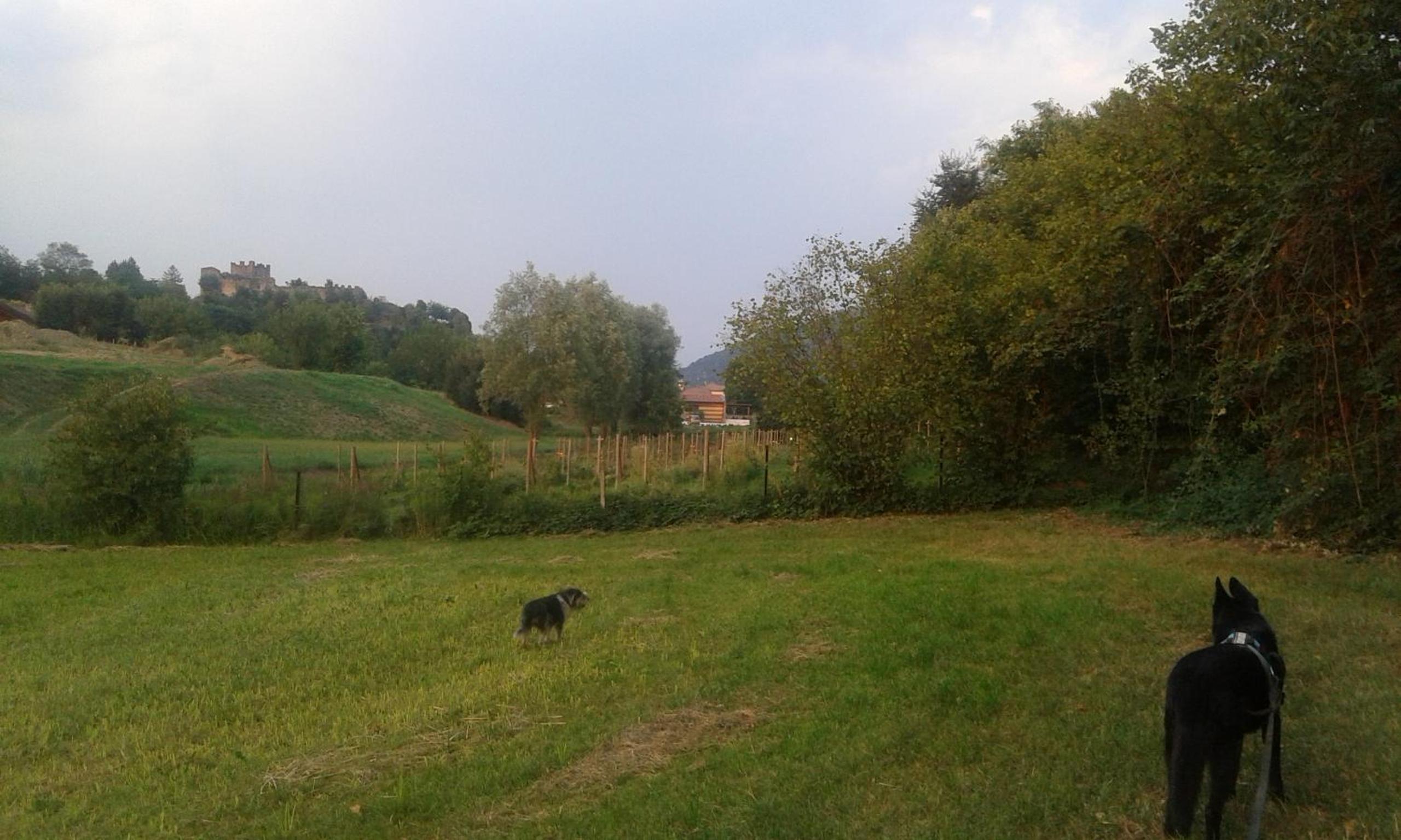 Agriturismo Terra e Lago d'Iseo Franciacorta
