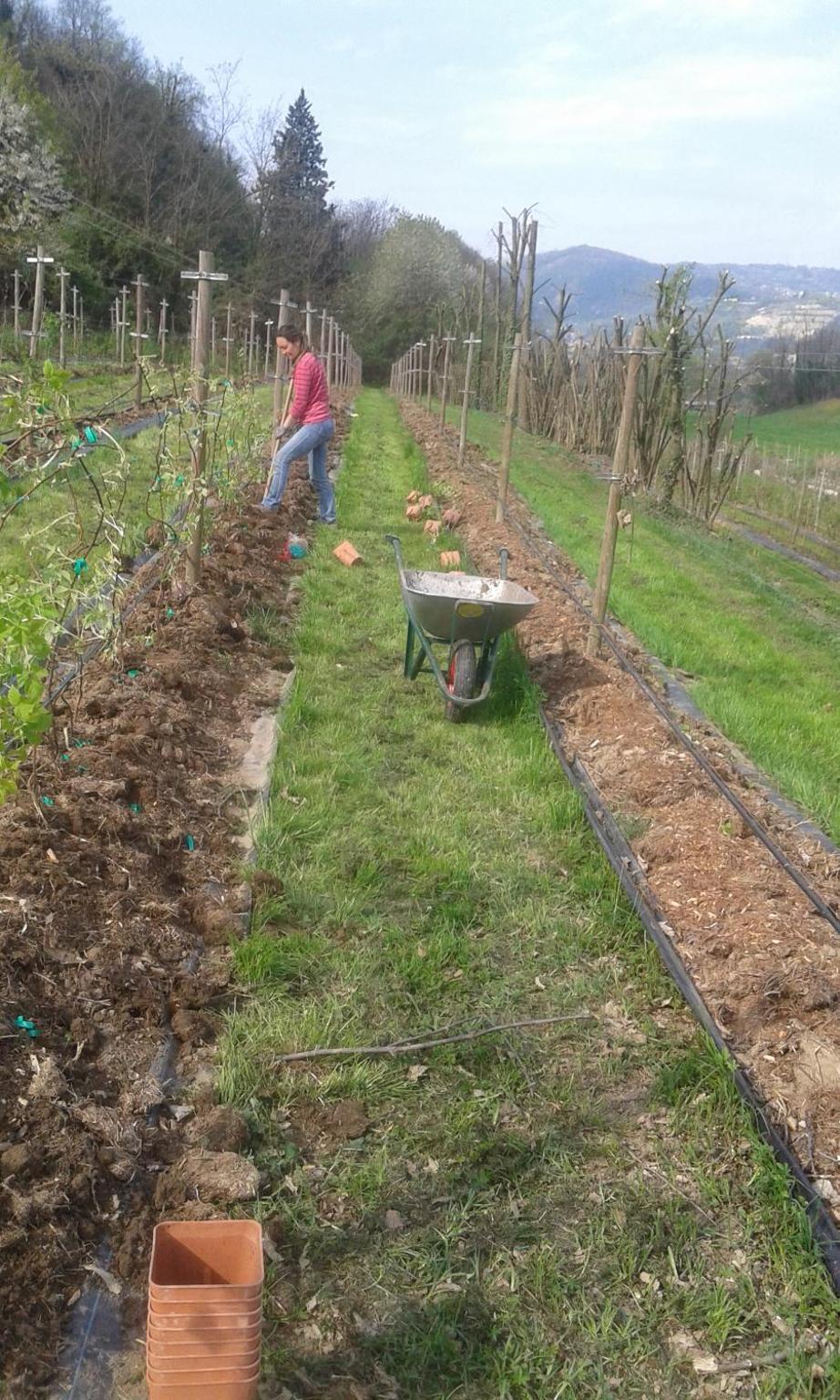 Agriturismo Terra e Lago d'Iseo Franciacorta