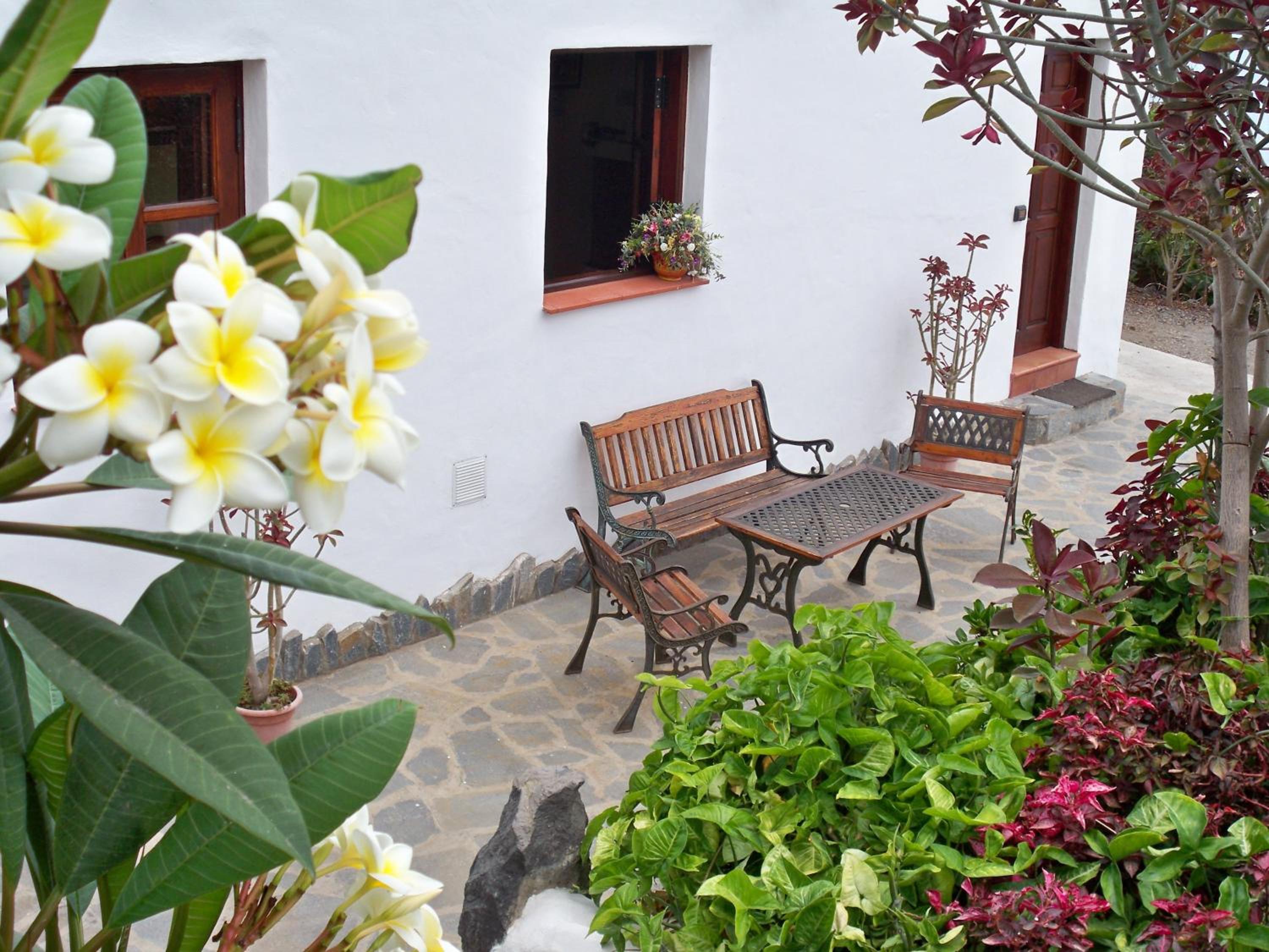 live Apartamento con cueva la Furnia 1