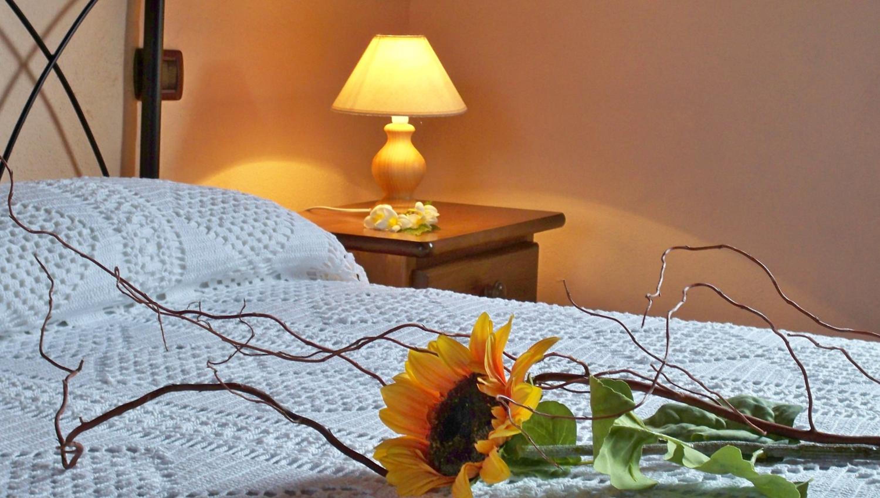 live Apartamento con cueva la Furnia 1