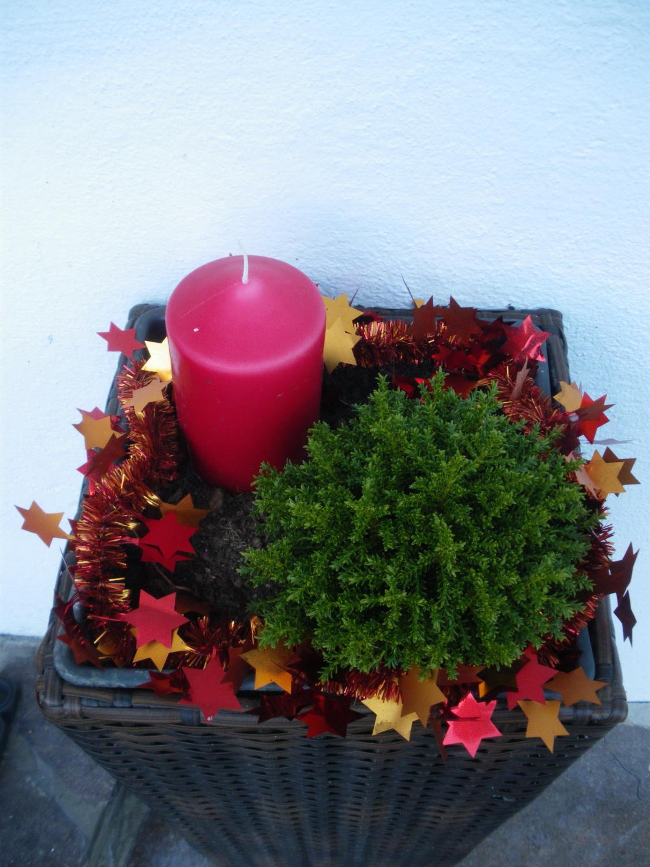 Photo 12