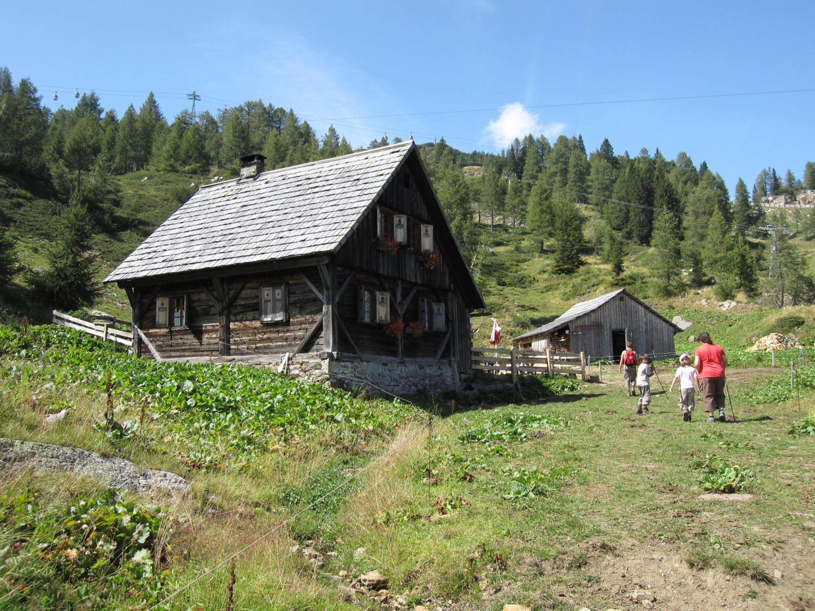 Photo 15