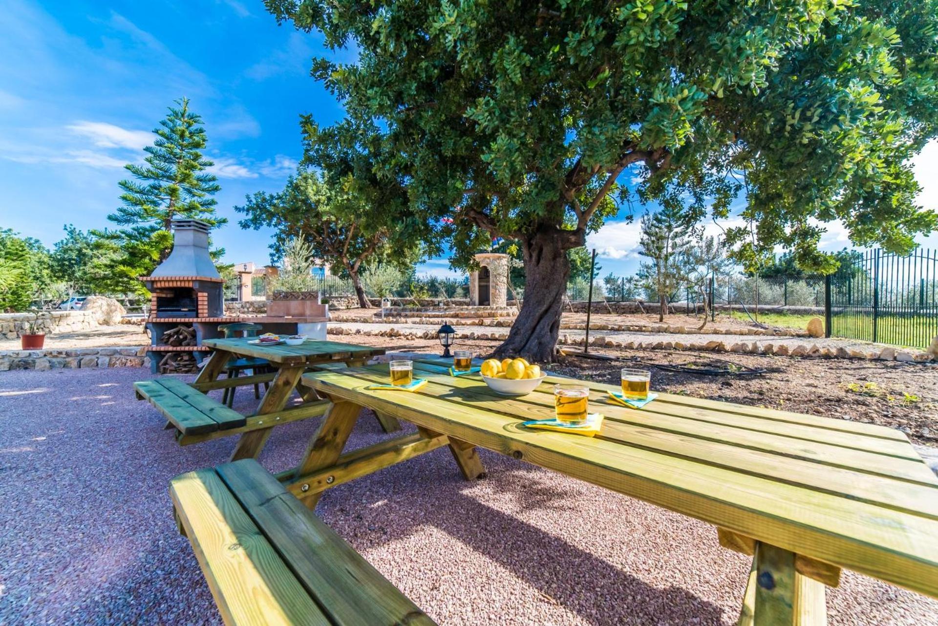 Ideal Property Mallorca - Puig d'en Guardiola view 2