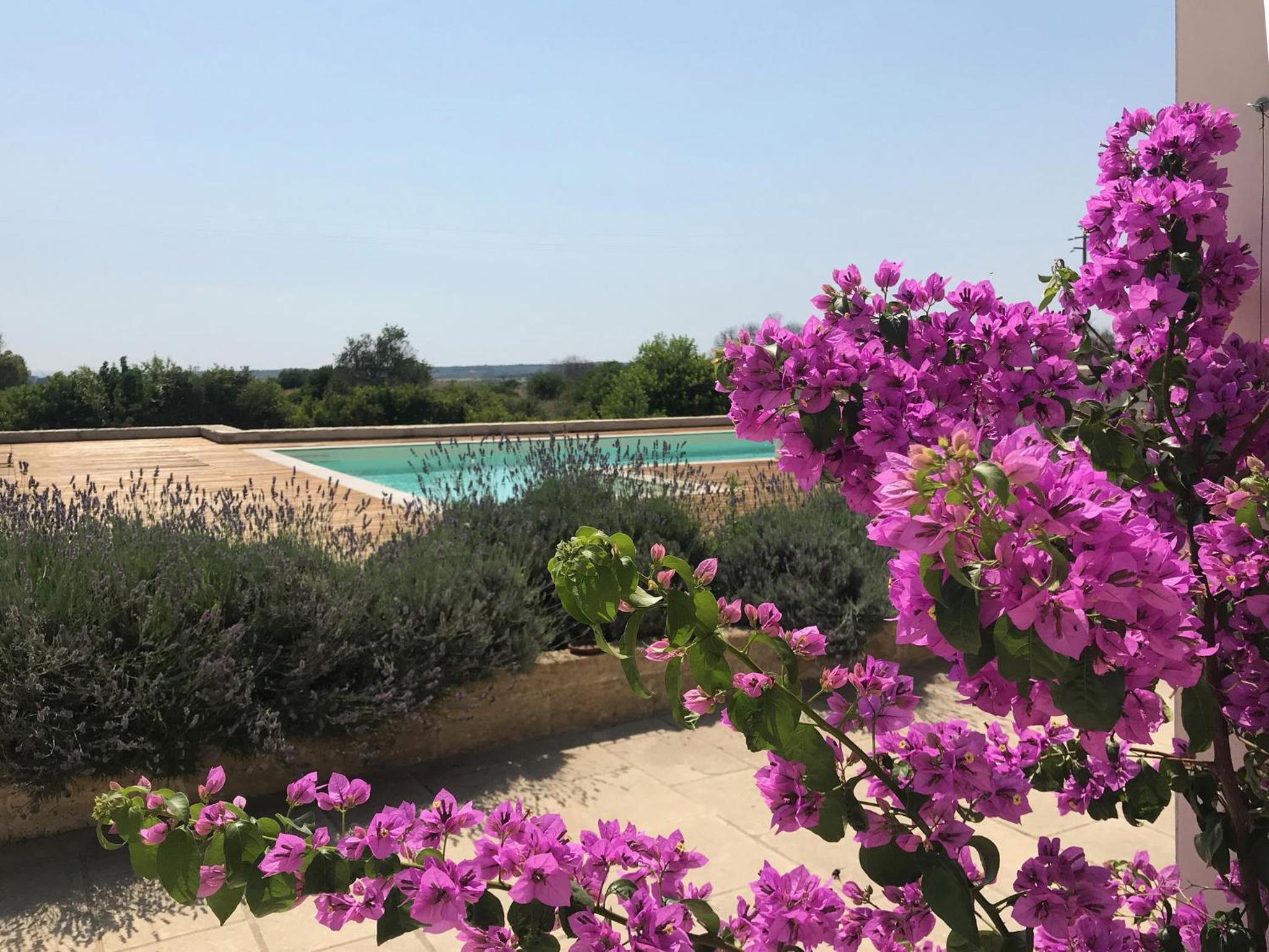 Villa Pietraja view 4