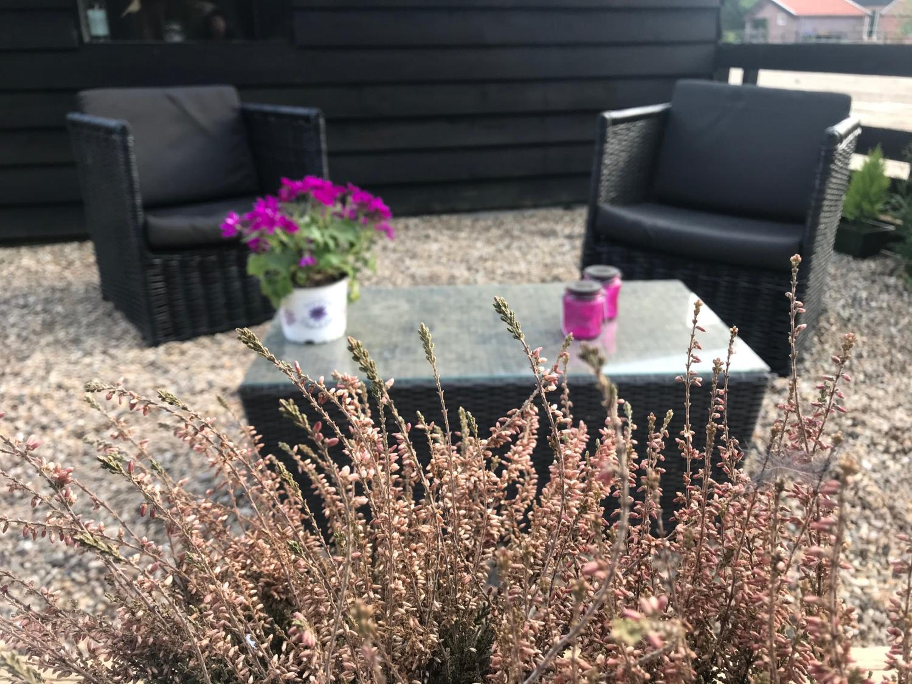 Hotel Veluwse Bos Studio