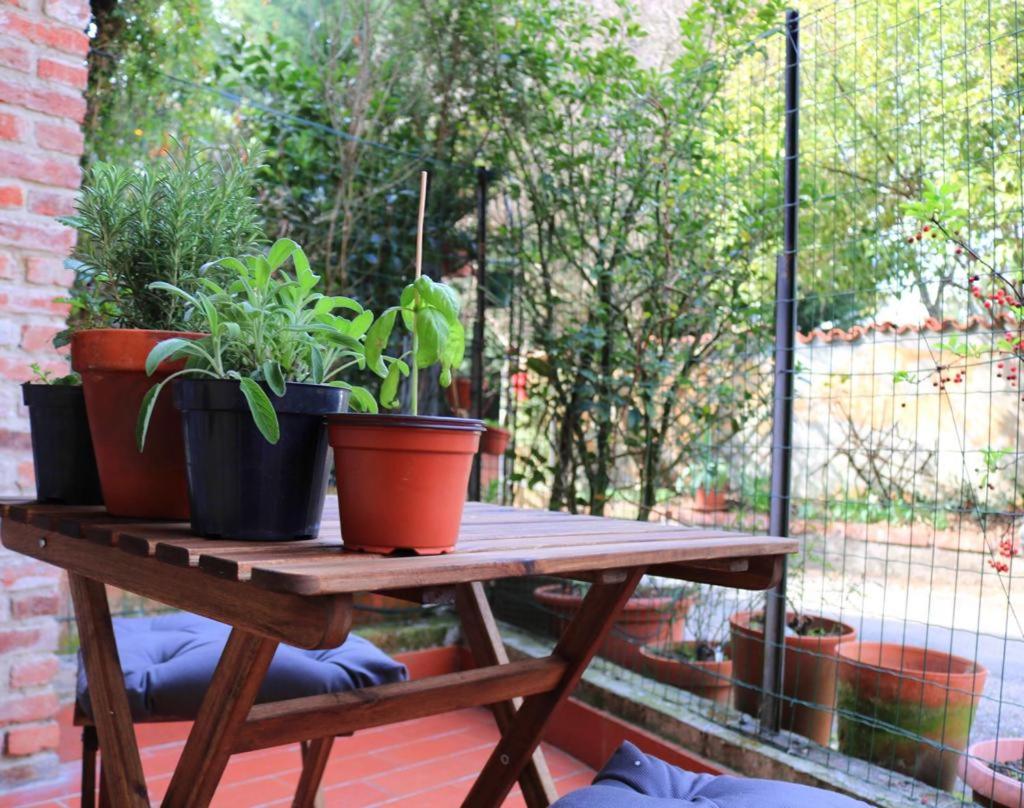 LA CASA DEI NONNI photo 3