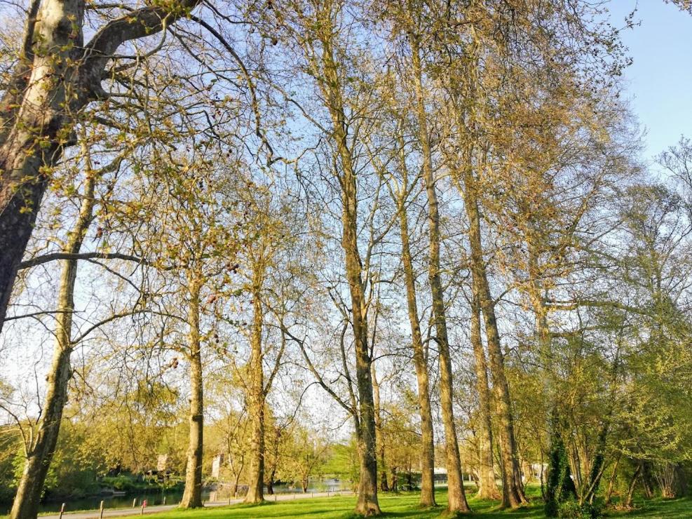 Le Domaine Des Platanes view 3