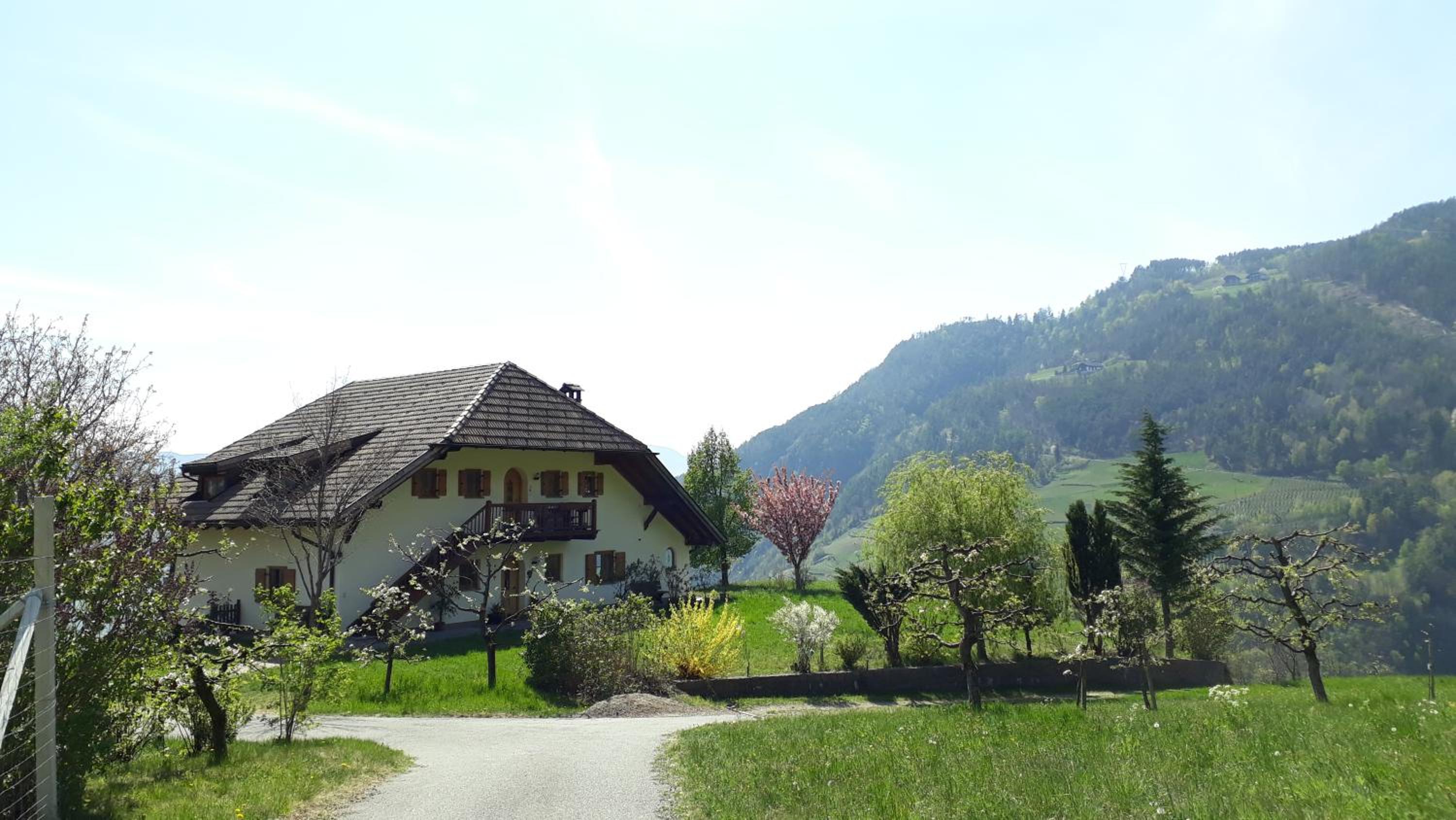 Birbamergut