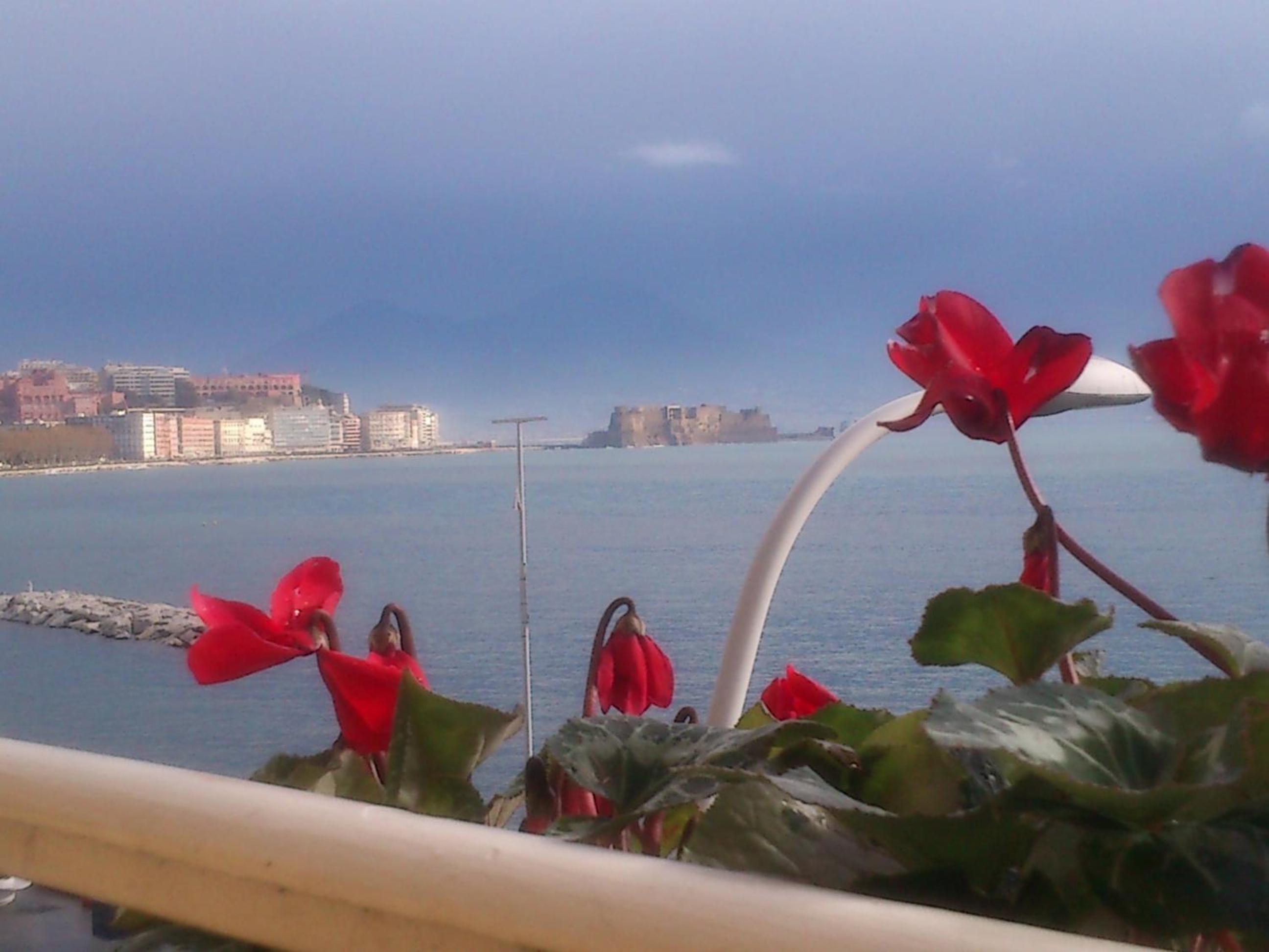 B&B Platamon