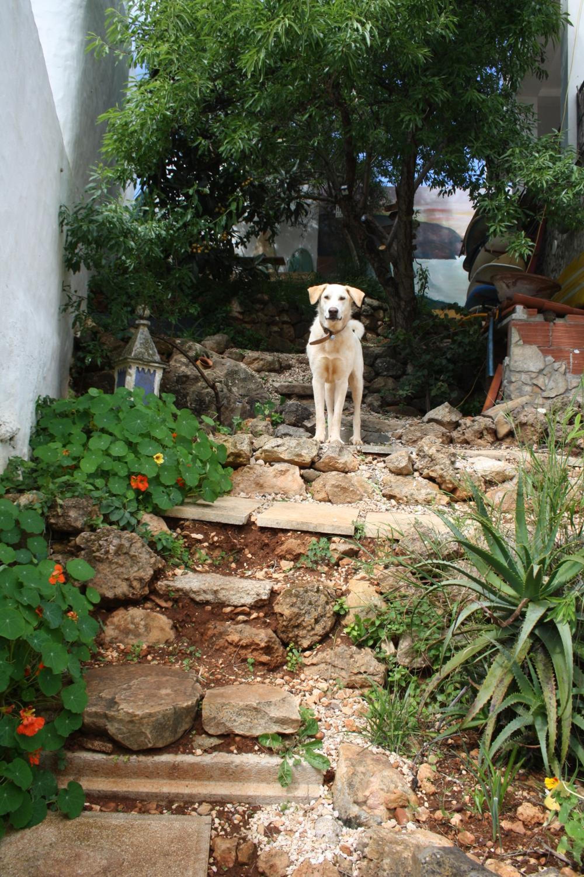 Photo 30