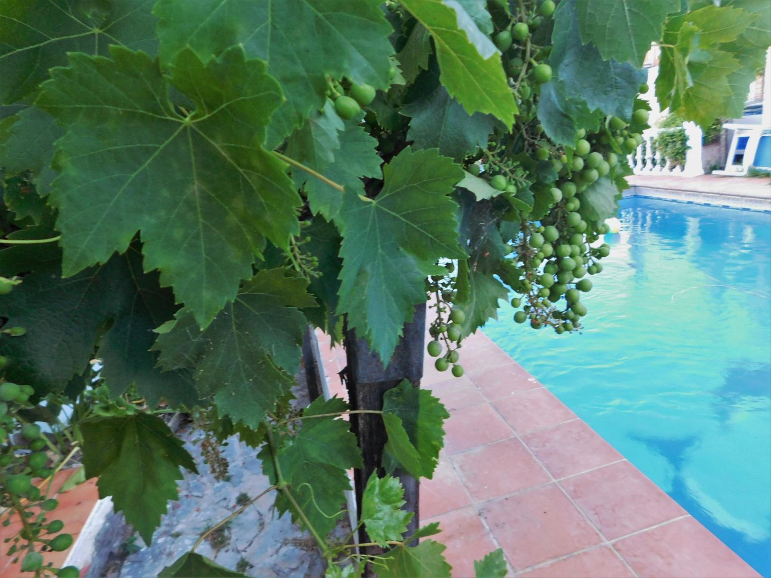 Apartamento con aparcamiento exclusivo en Marbella - Image 3