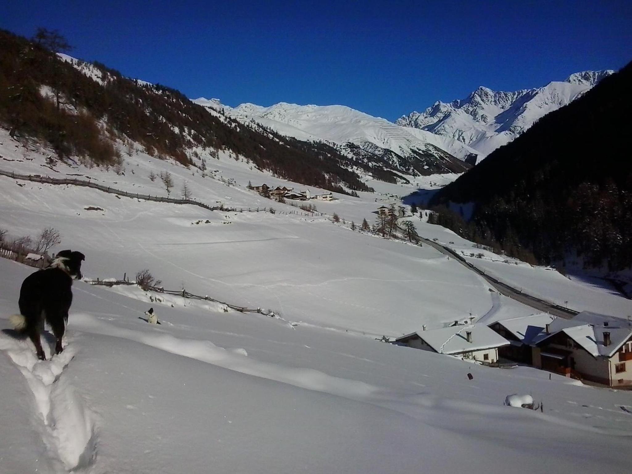 Padoellhof photo 2