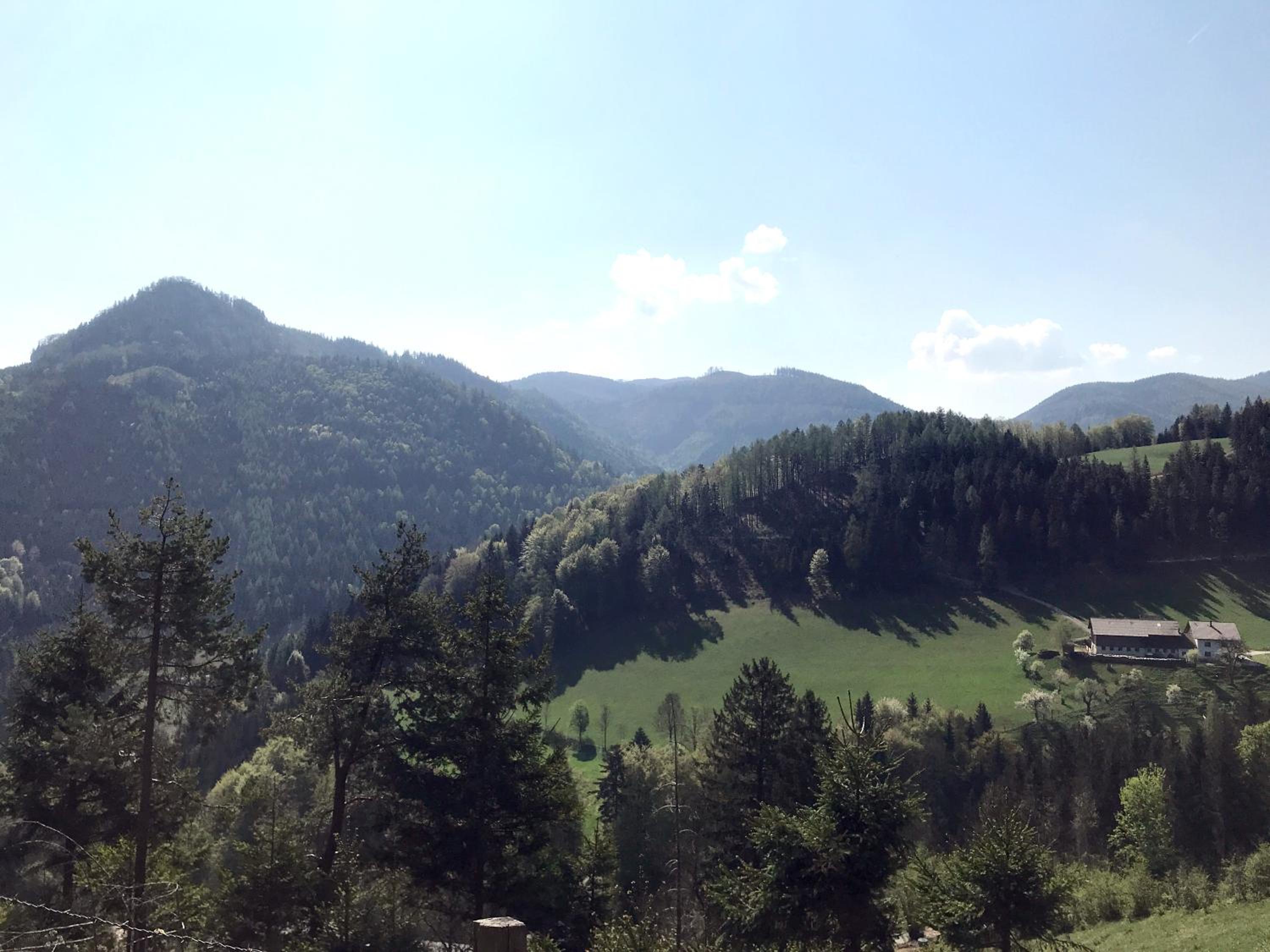 Waldblick Landhaus B&B