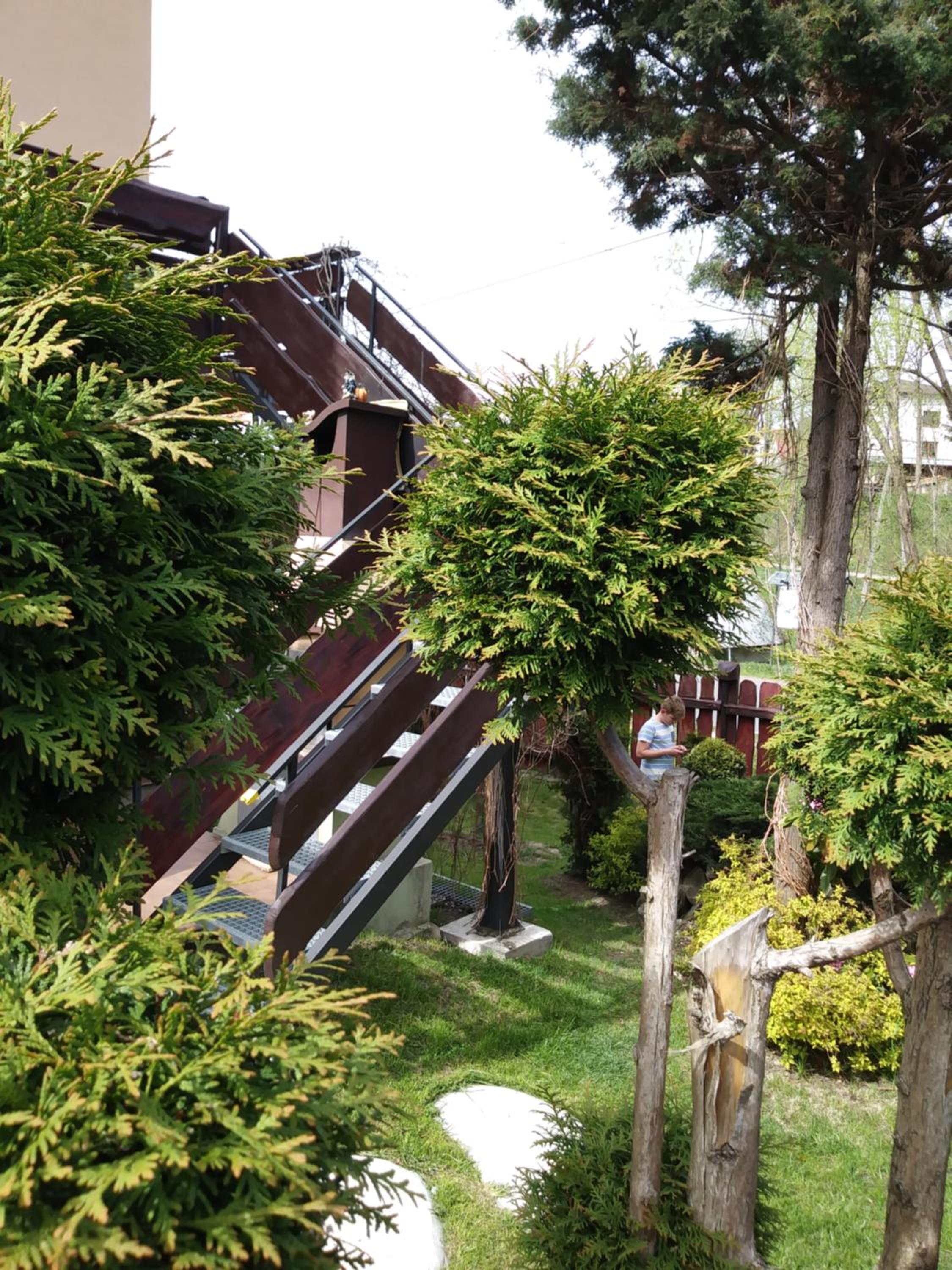 Photo 9