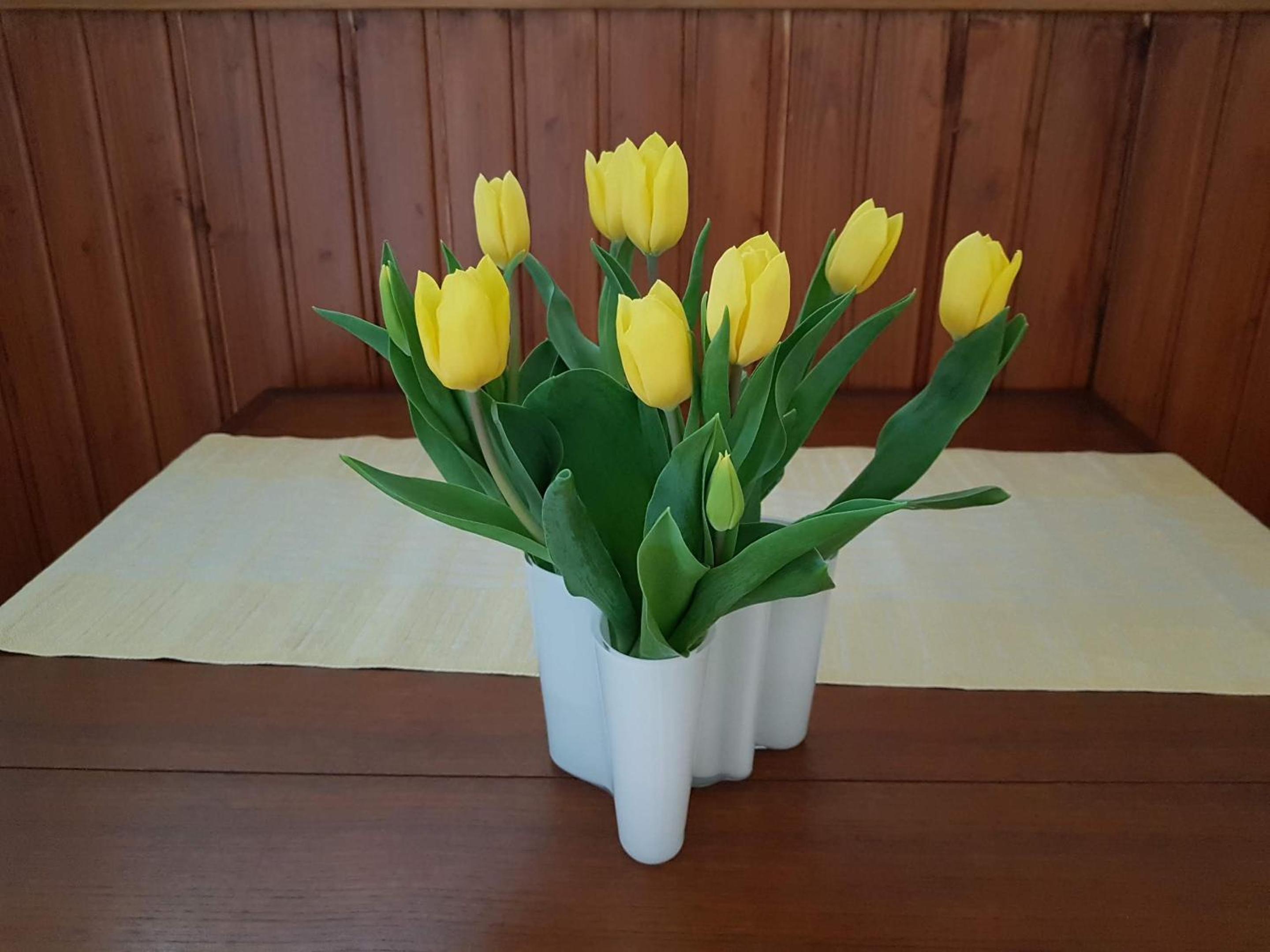 Tallitalo, Spacious and Peaceful Apartment in Nakkila