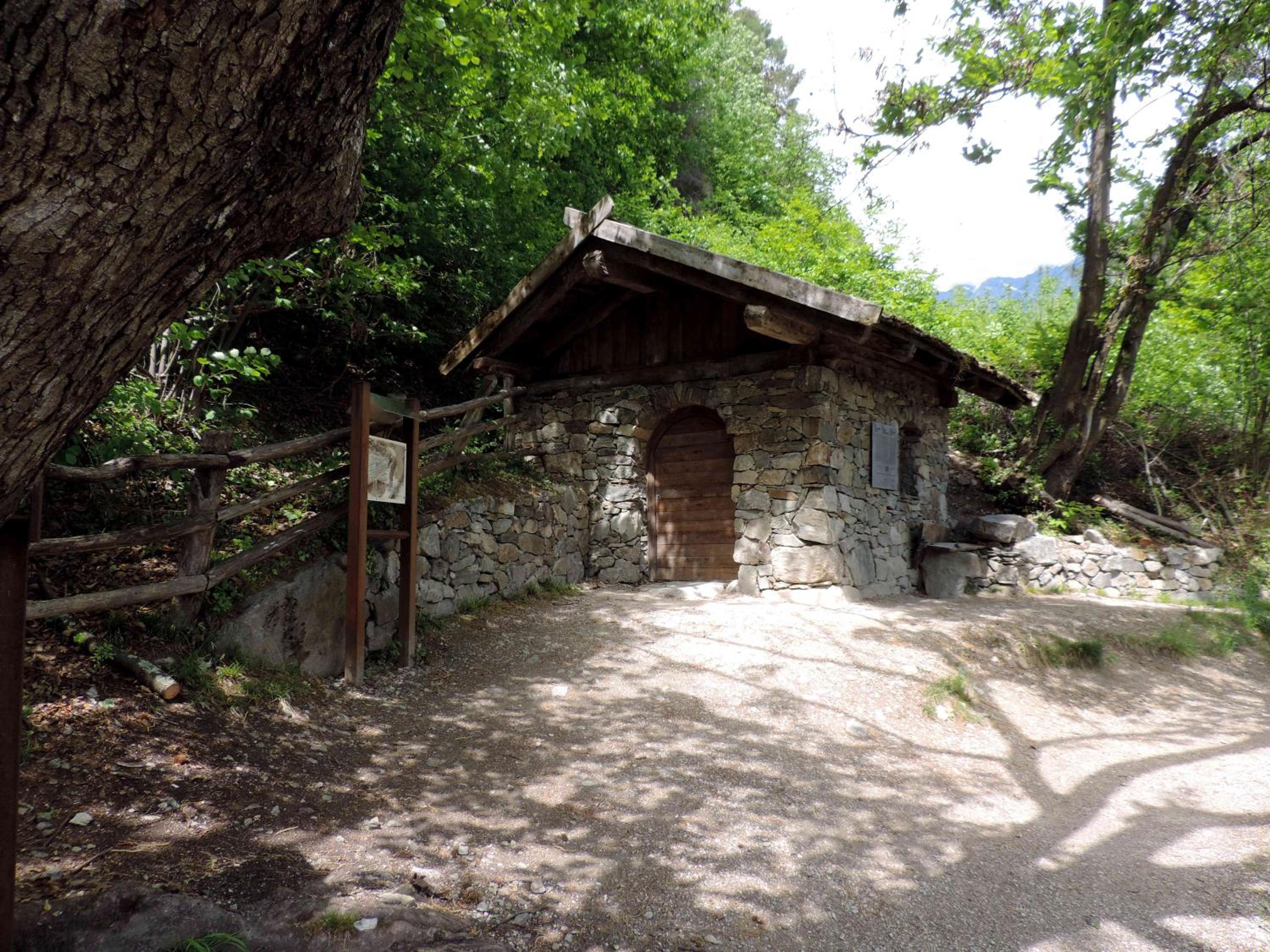 Photo 19