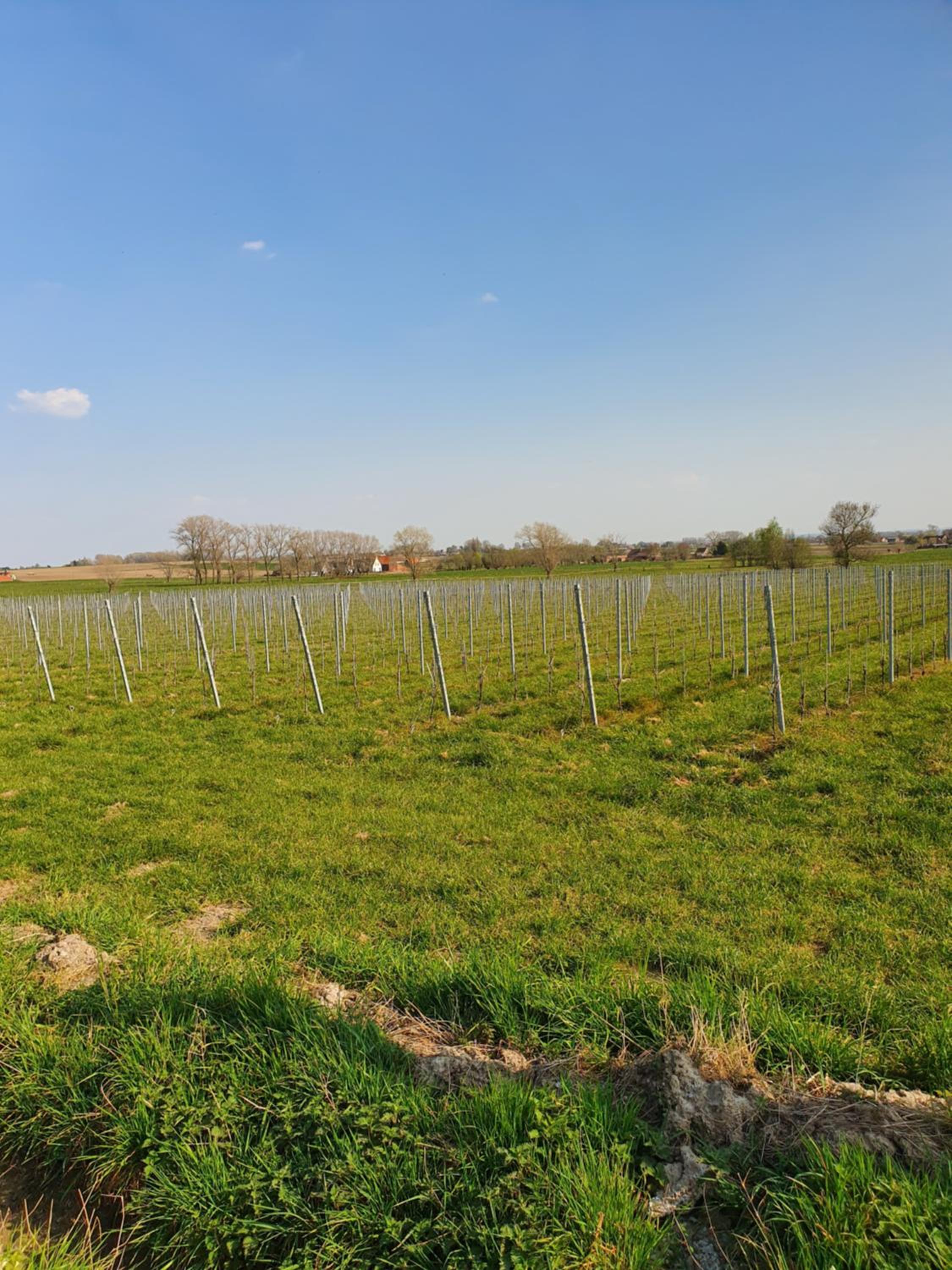 B&B Kanegem Onverbloemd