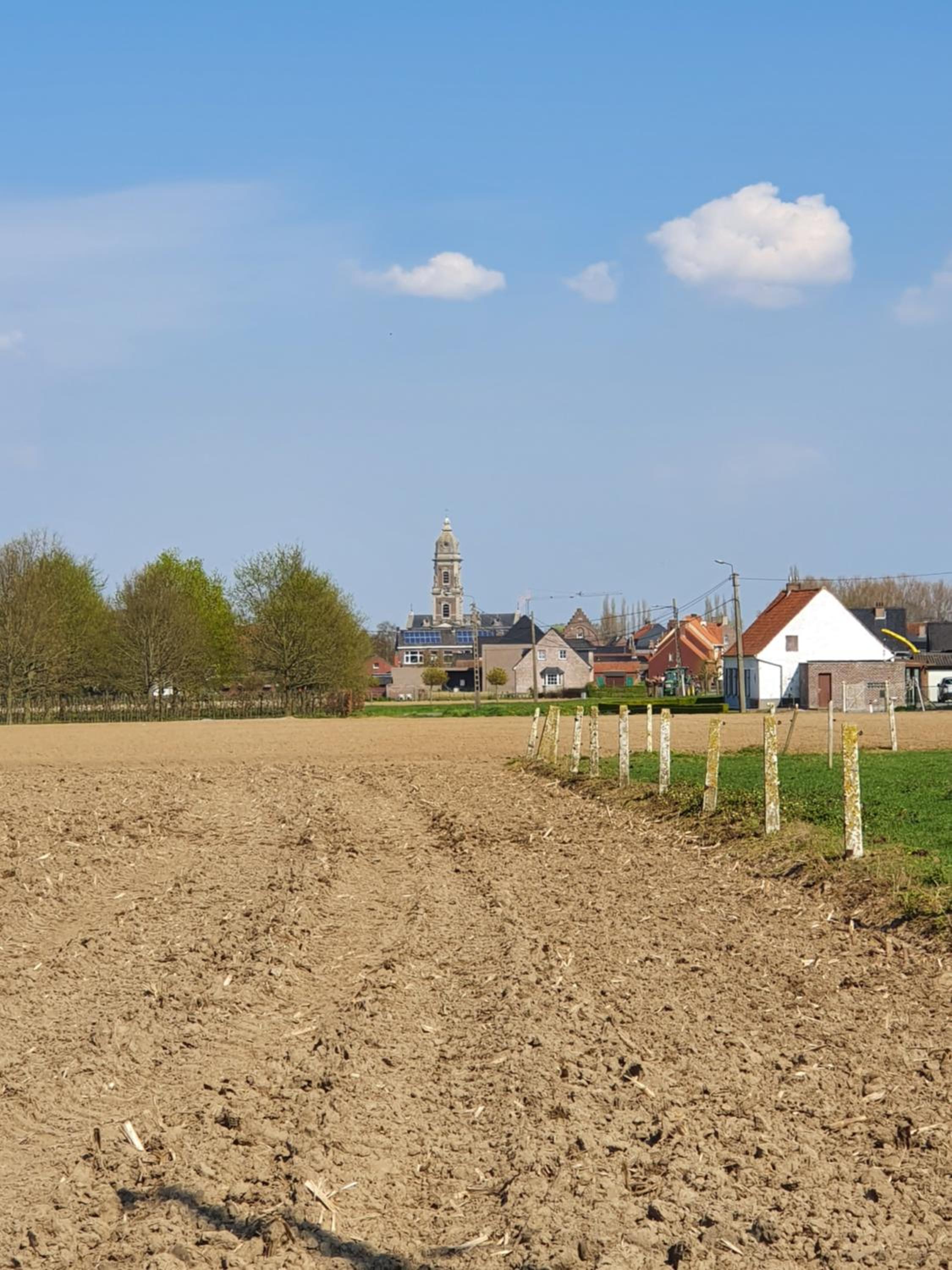 B&B Kanegem Onverbloemd