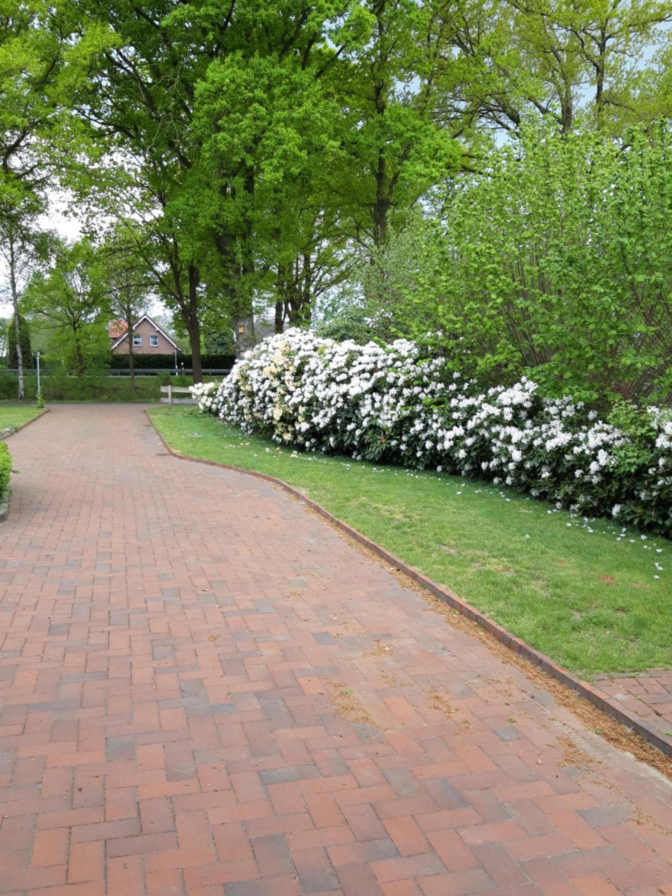 Photo 37