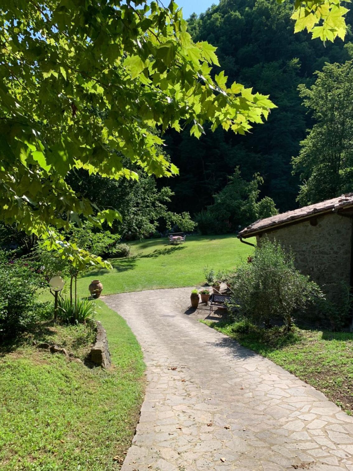 Relax totale nel Bosco Lucca