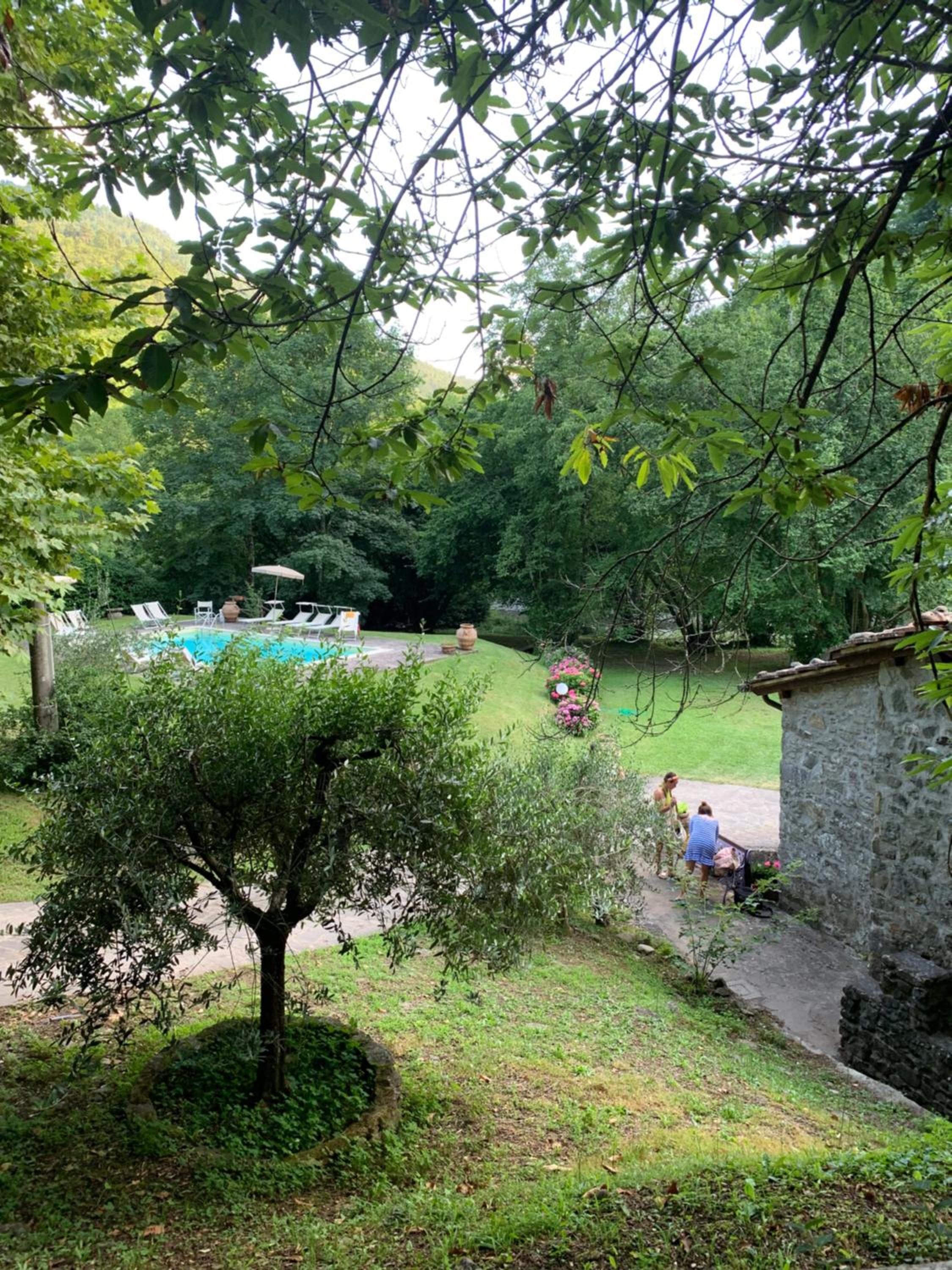 Photo 45
