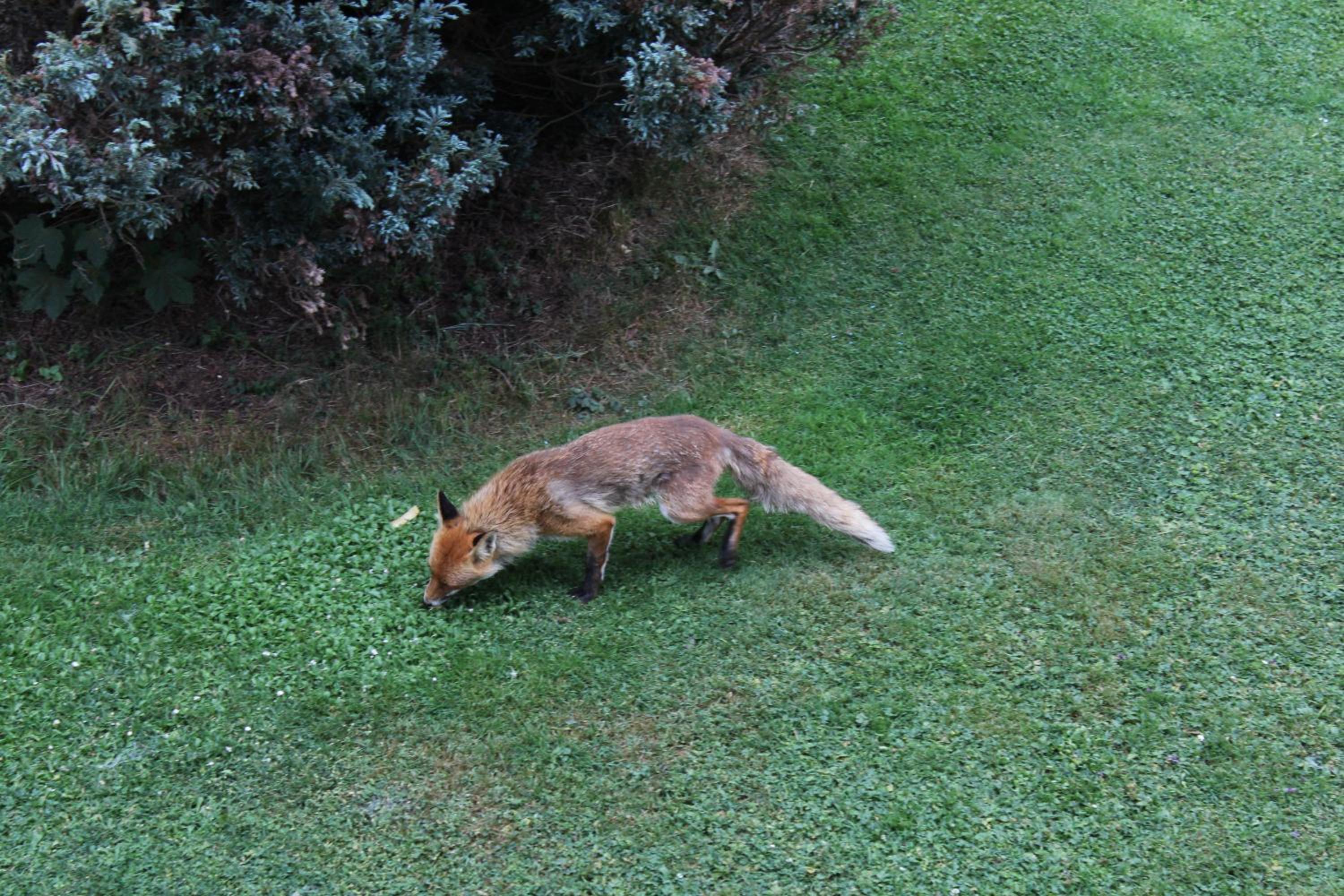 Photo 40