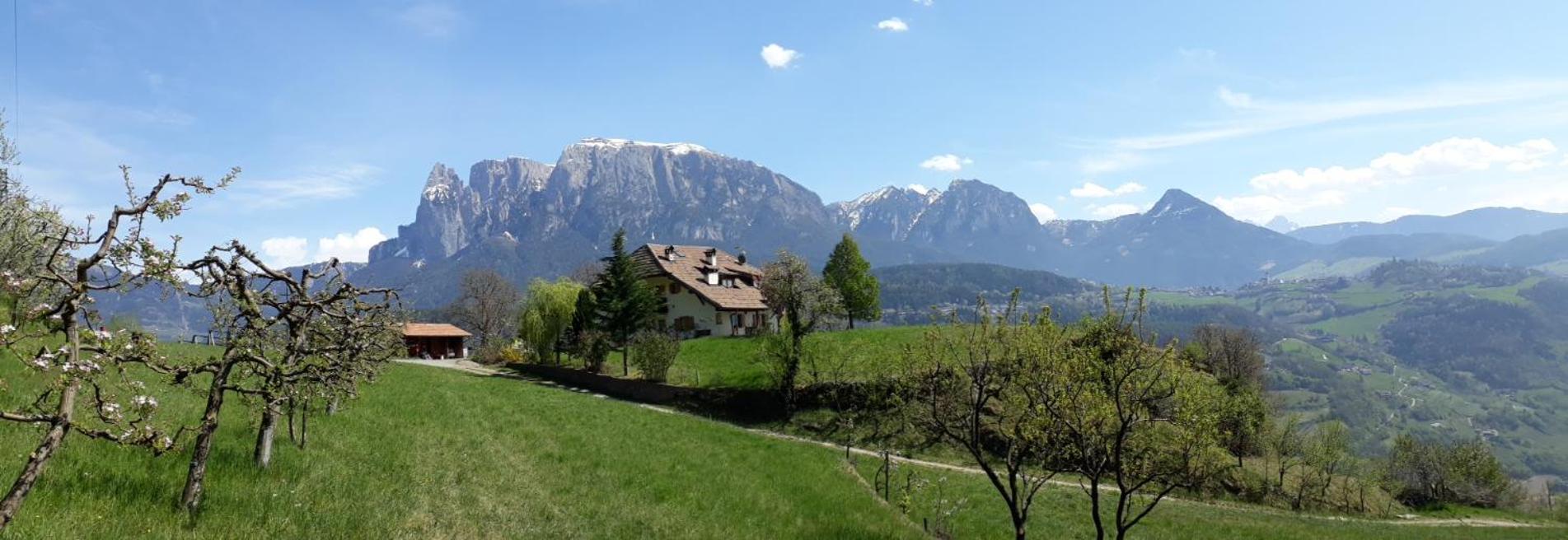 Birbamergut
