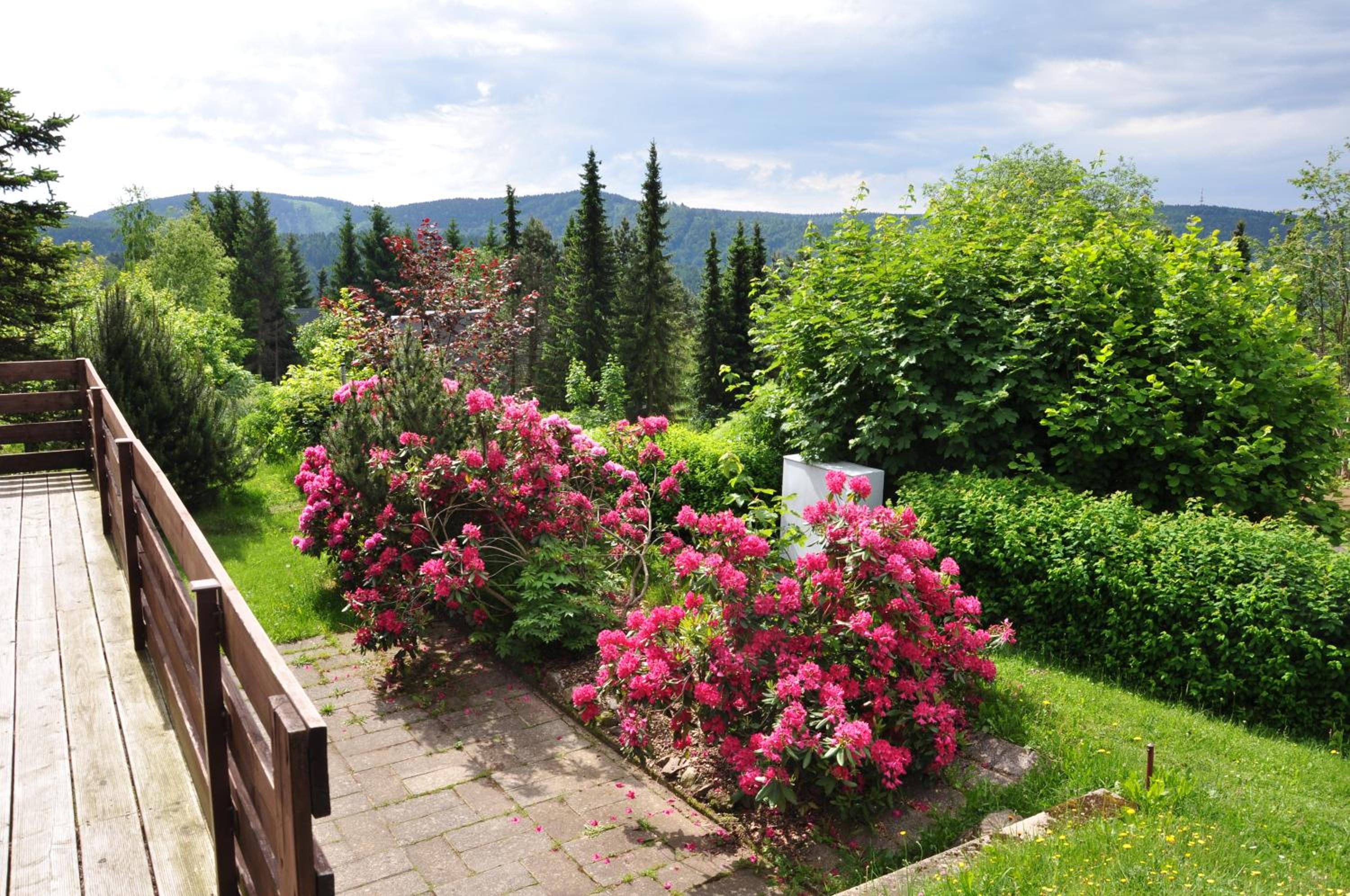 Bungalow im Thüringer Wald/ Haus Selma view 4