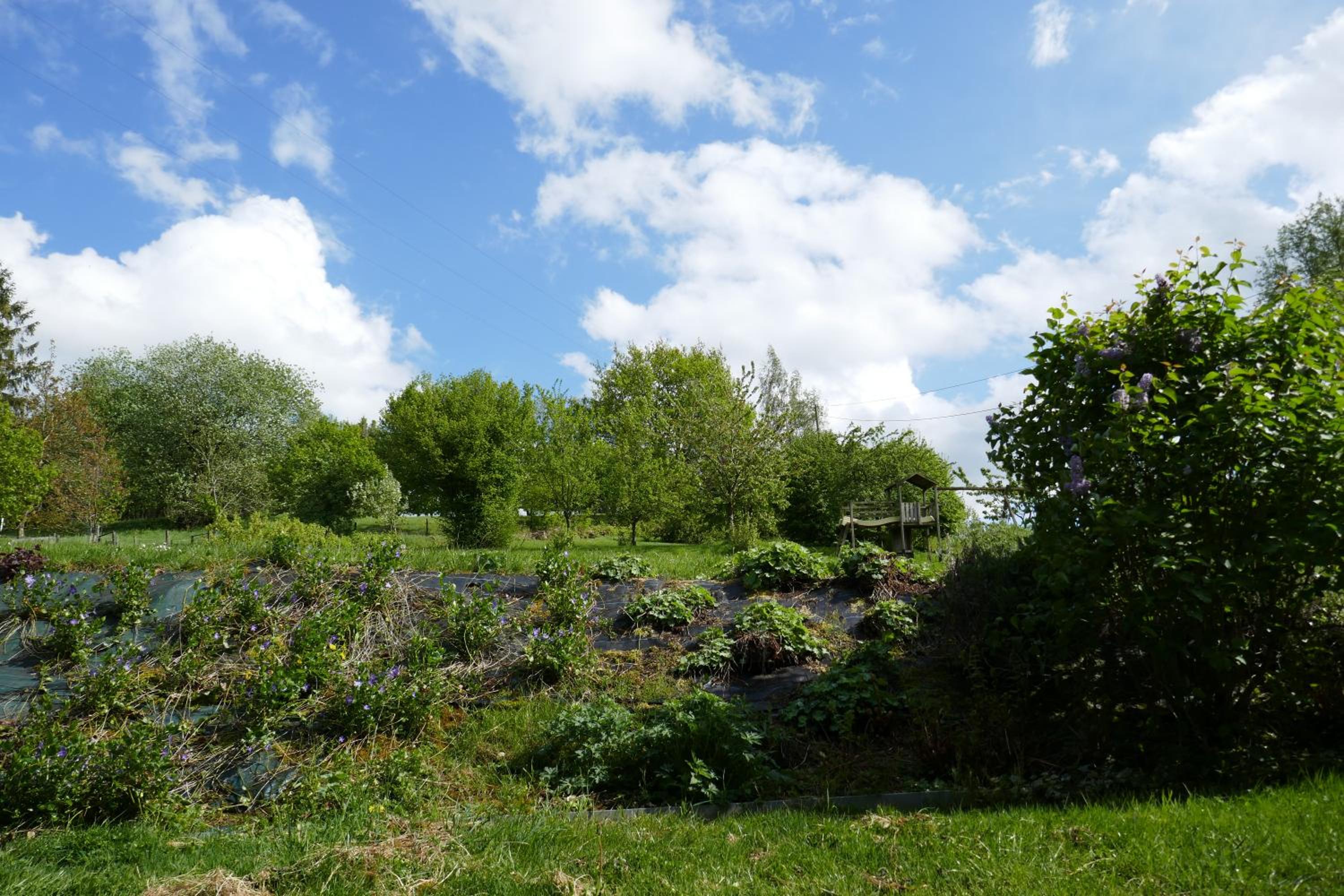 B&B La ferme de Berwausault