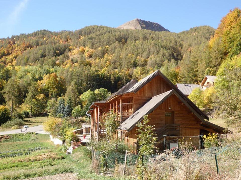 Photo 8