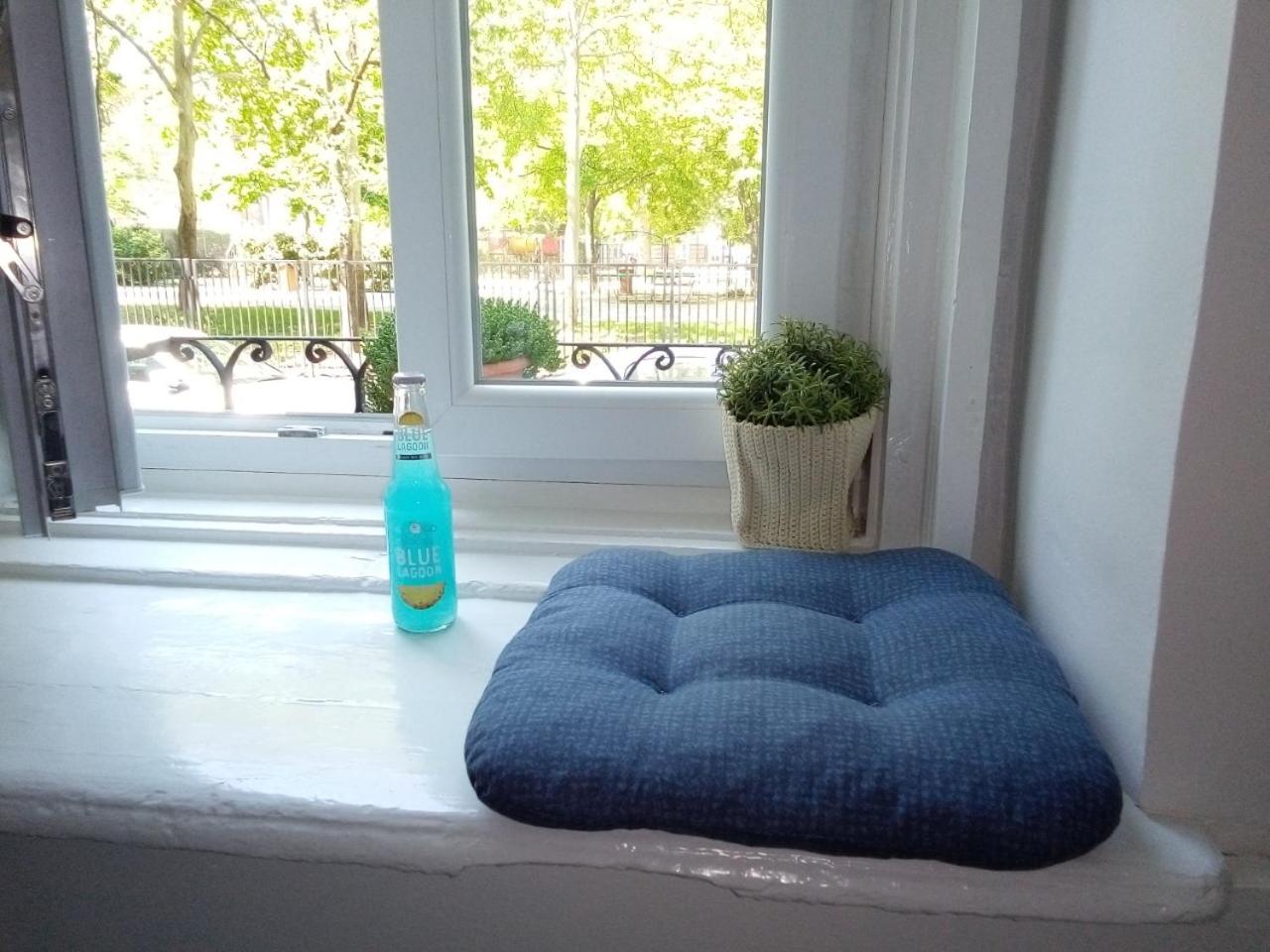 Sunny city apartment facing the park view 2