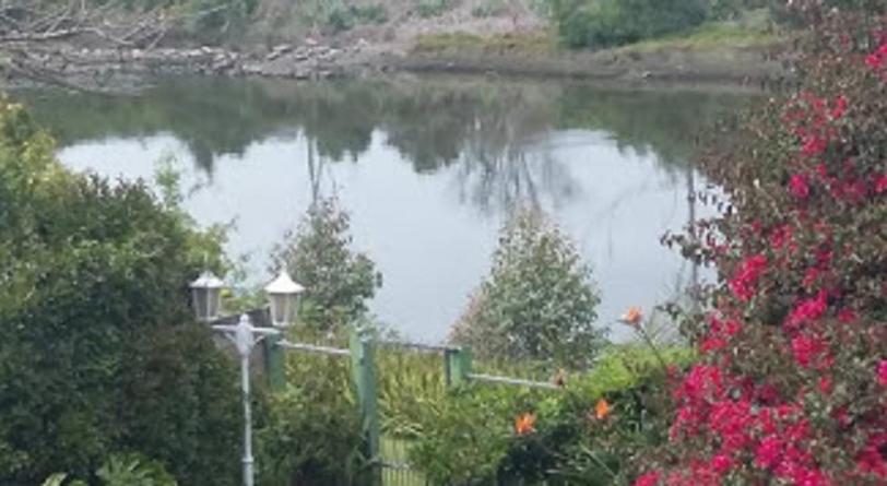 Forword's River Lodge view 3