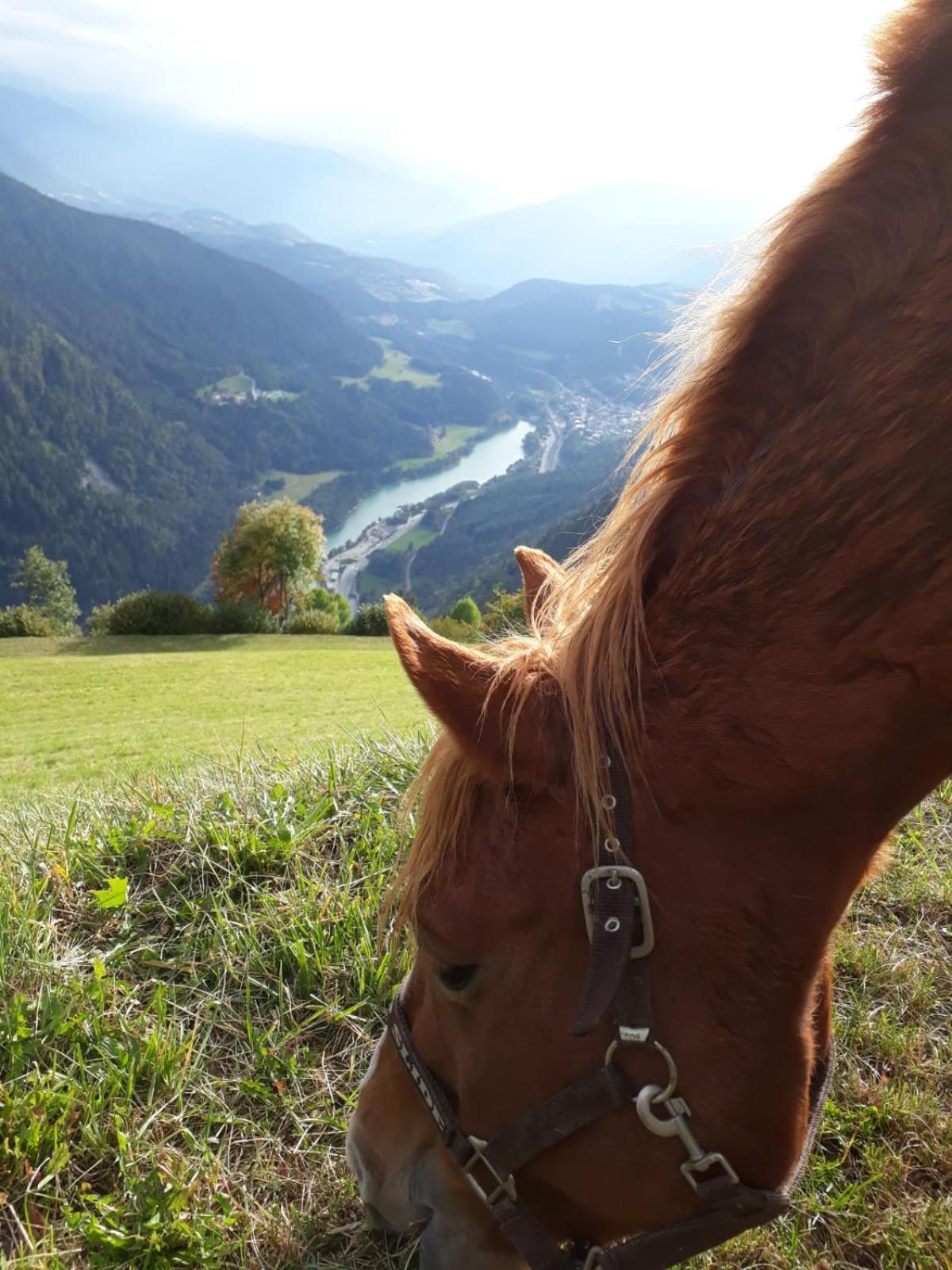Felderhof view 5
