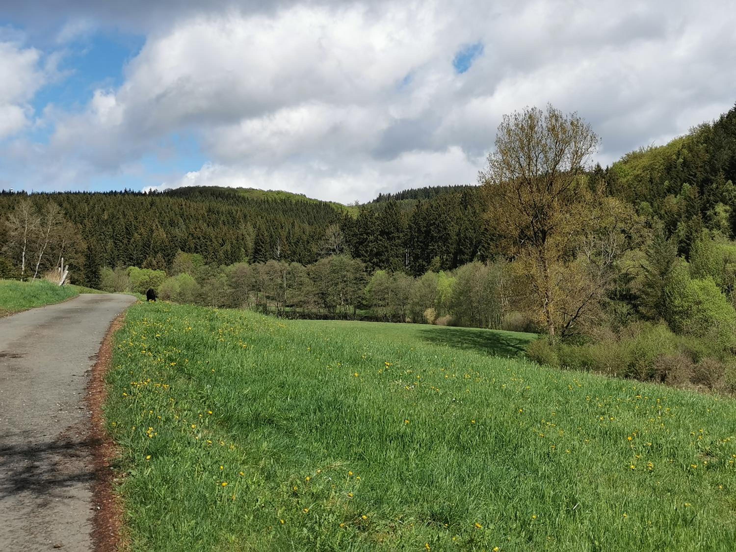 Ferienhaus mit Ausblick