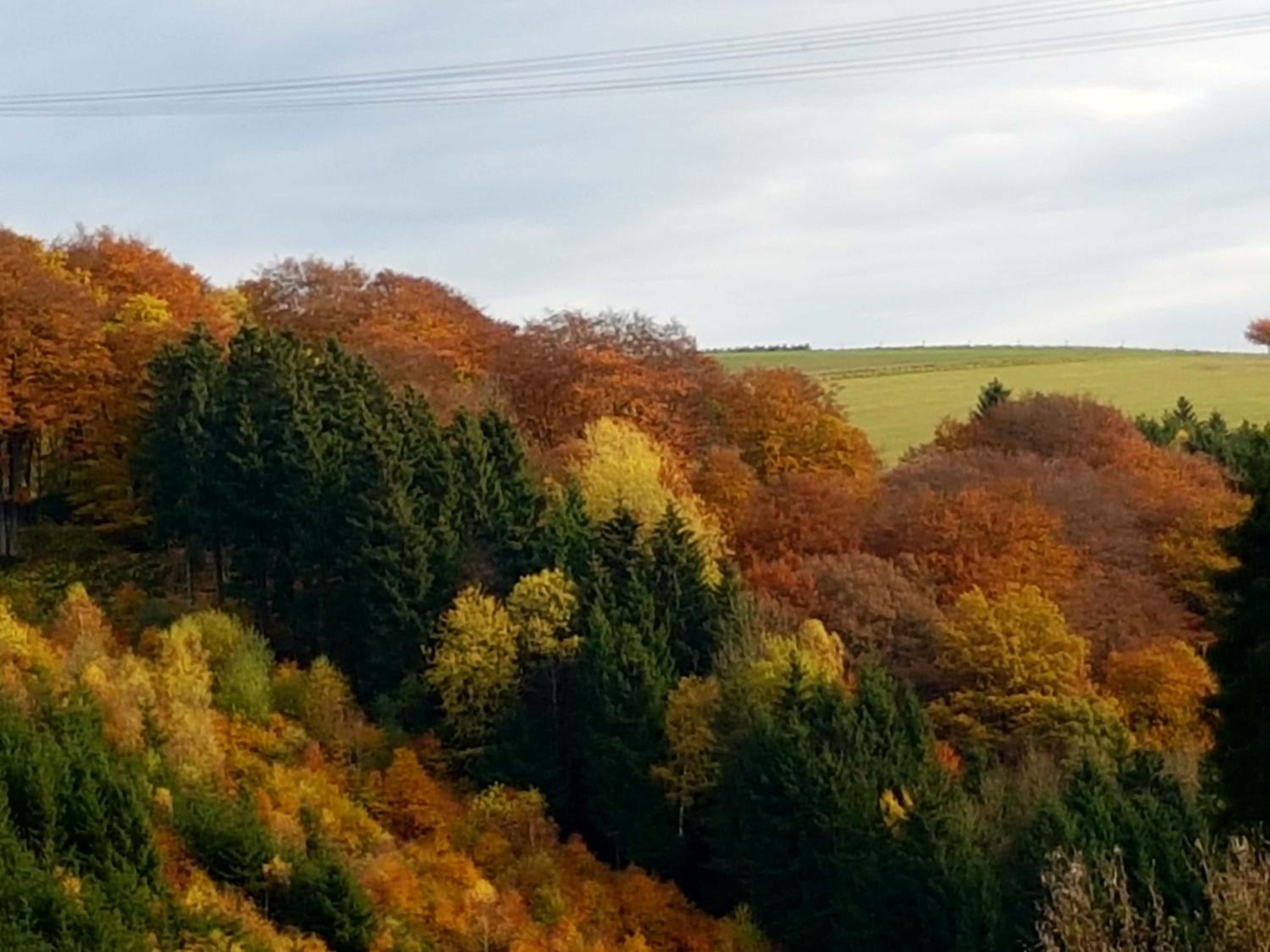 Ferienhaus mit Ausblick