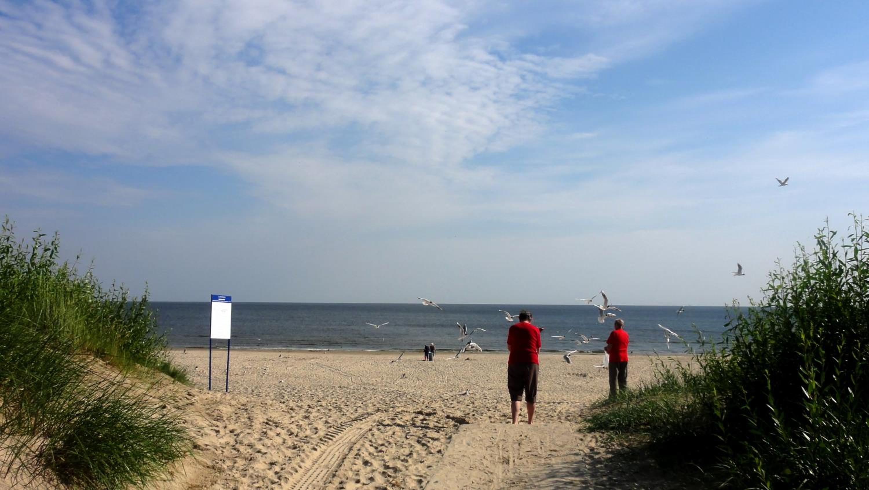 Photo 42