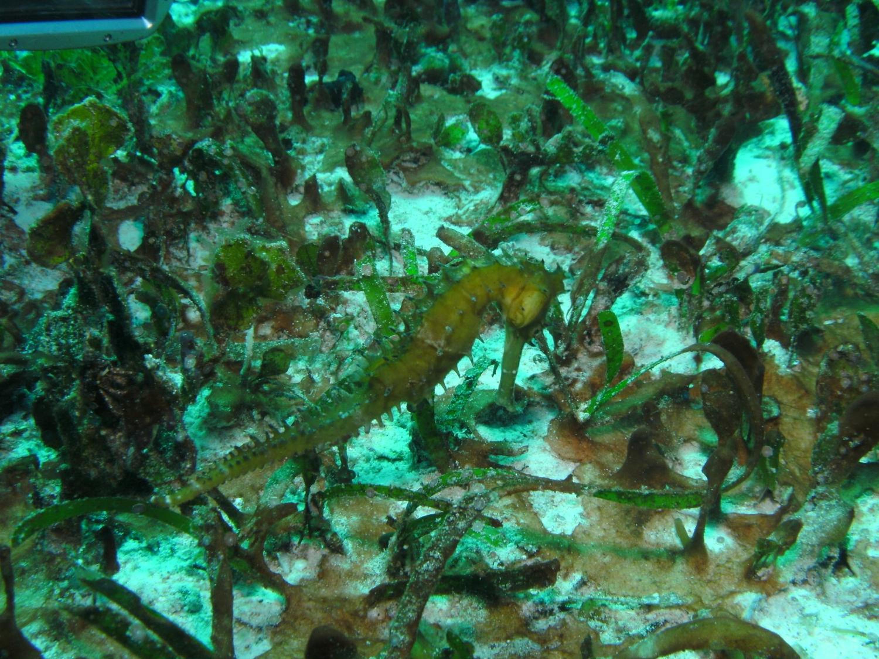 Photo 39