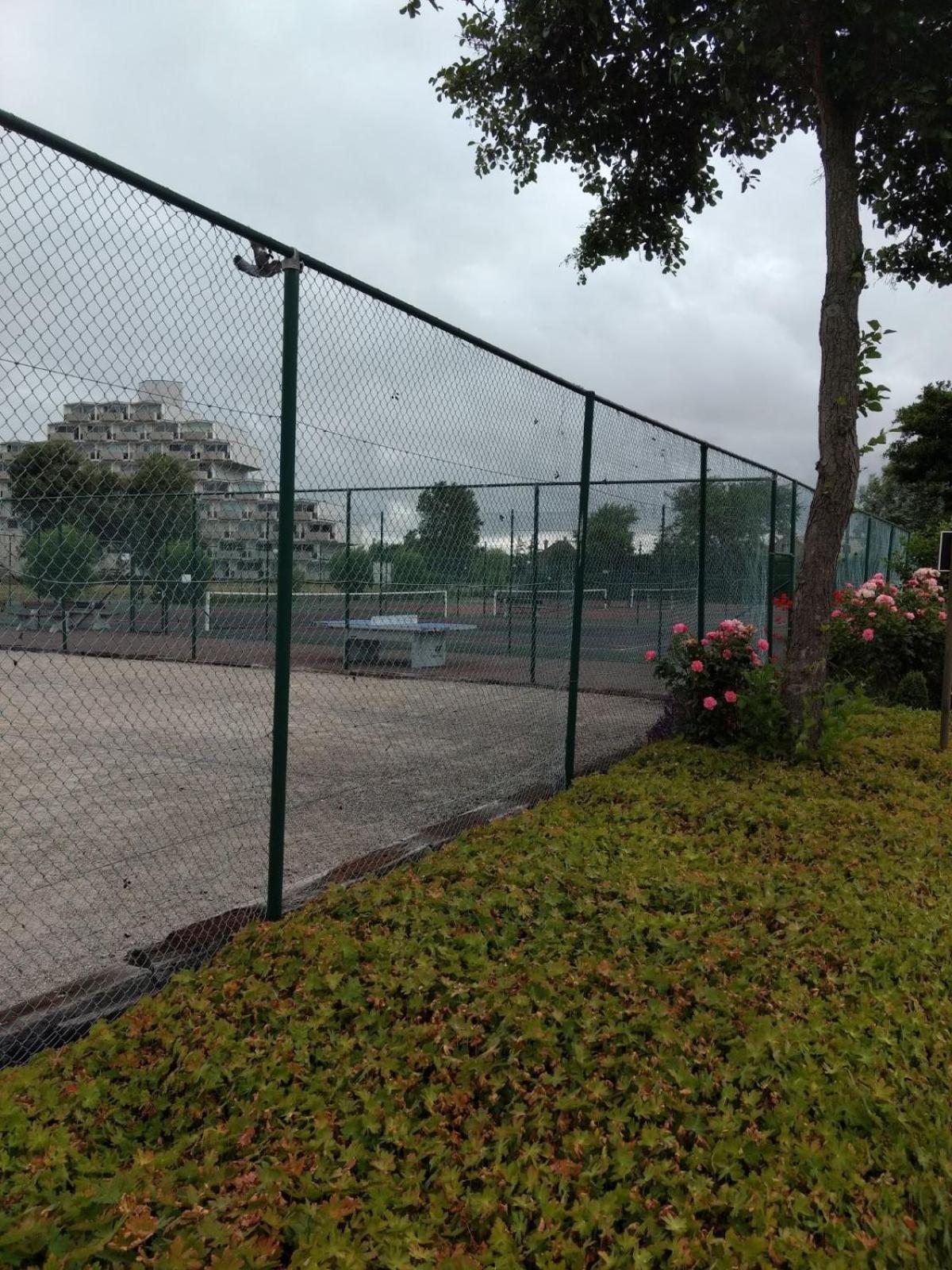 Photo 6