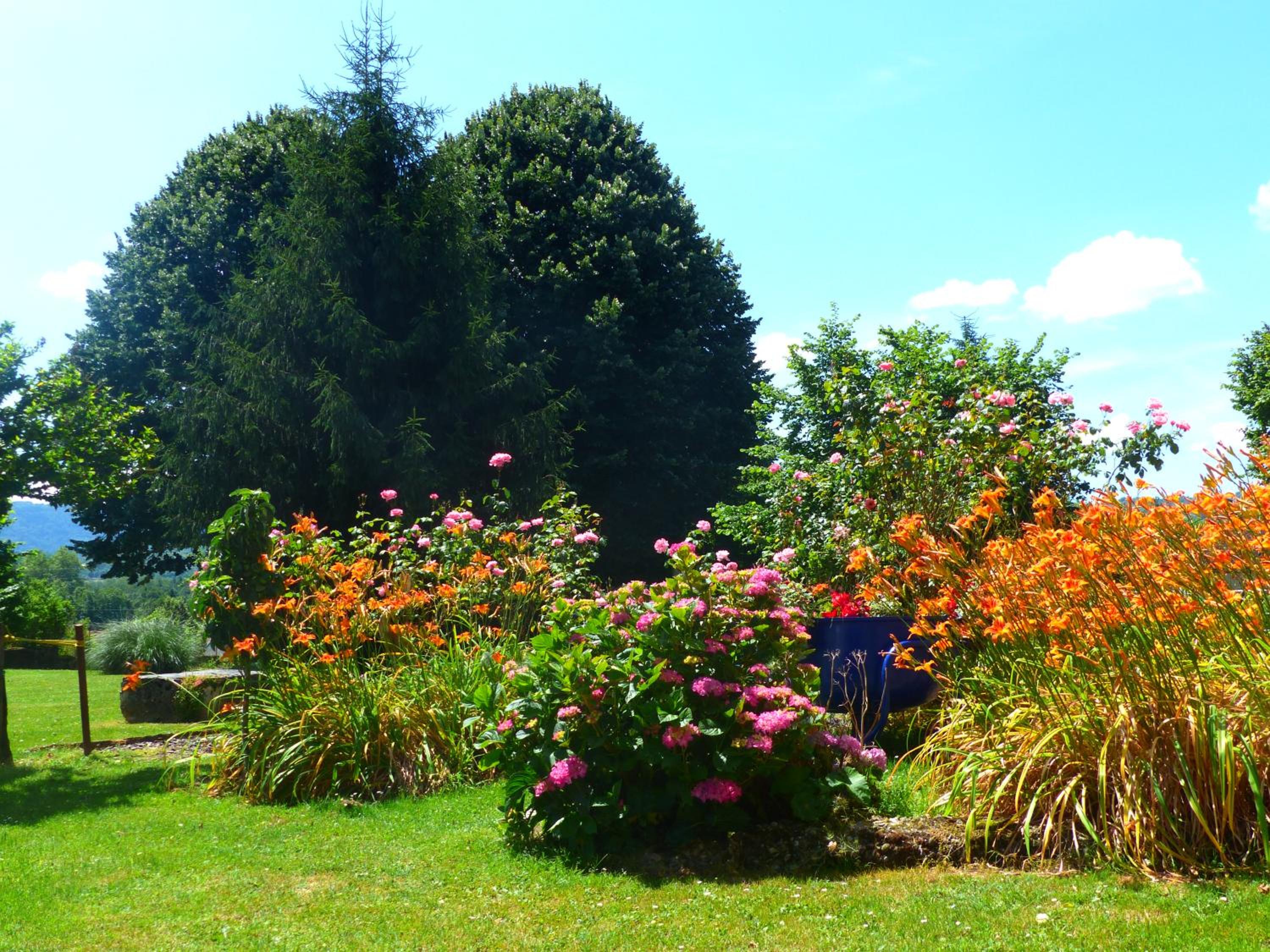 garden