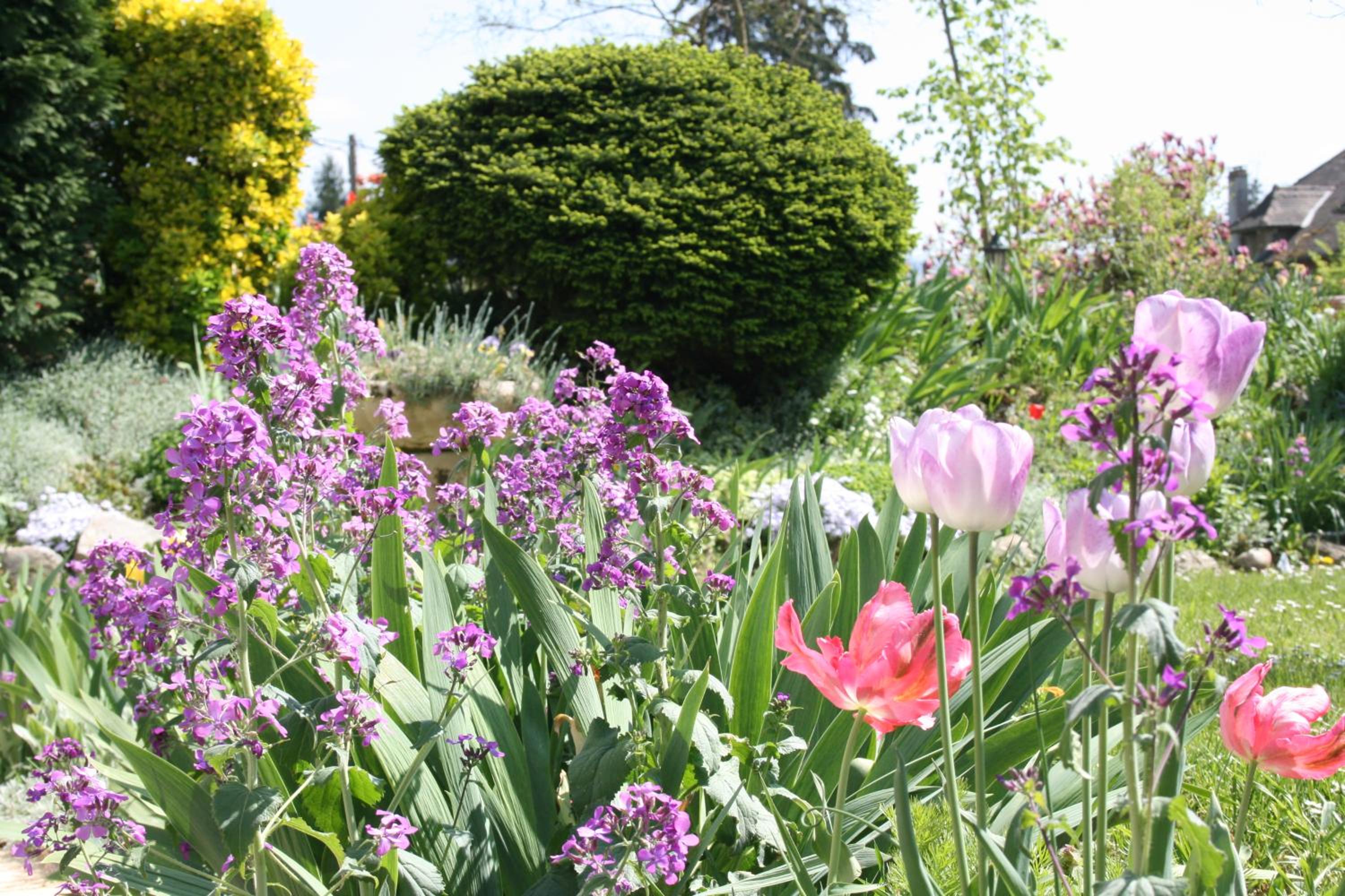 garden