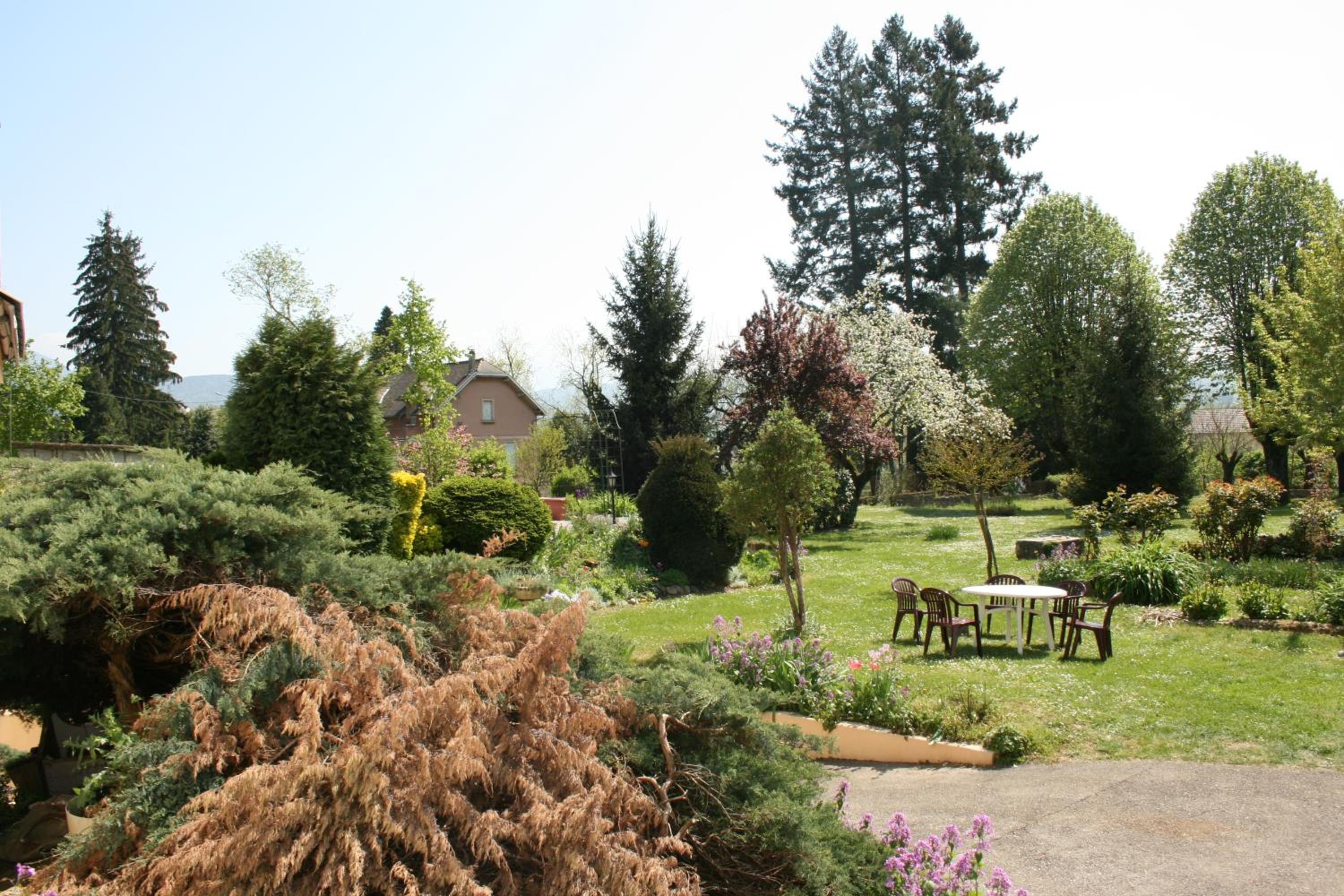 garden