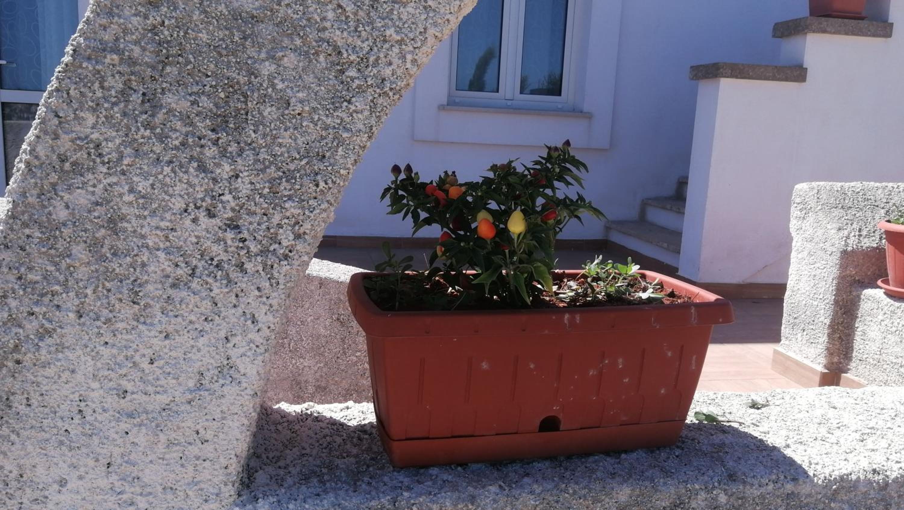 Photo 34