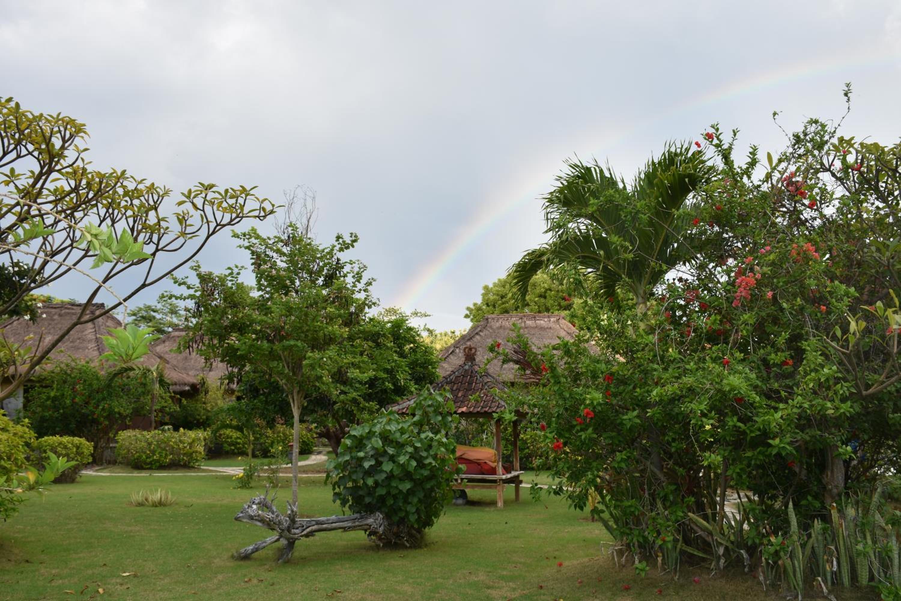 Sunia Loka Bungalows & Dive Center view 5