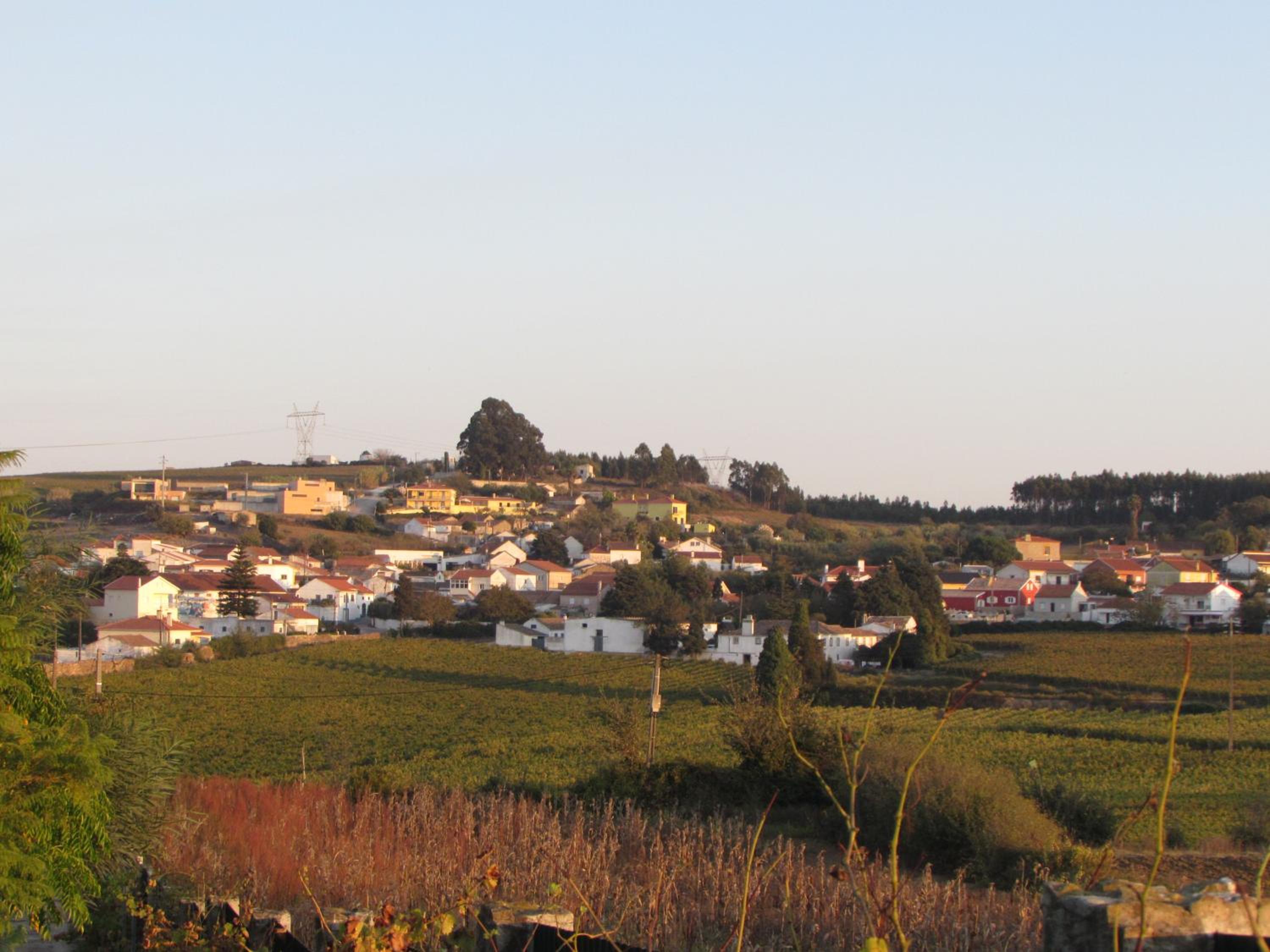Quinta Sobral Prestige - Rustic House