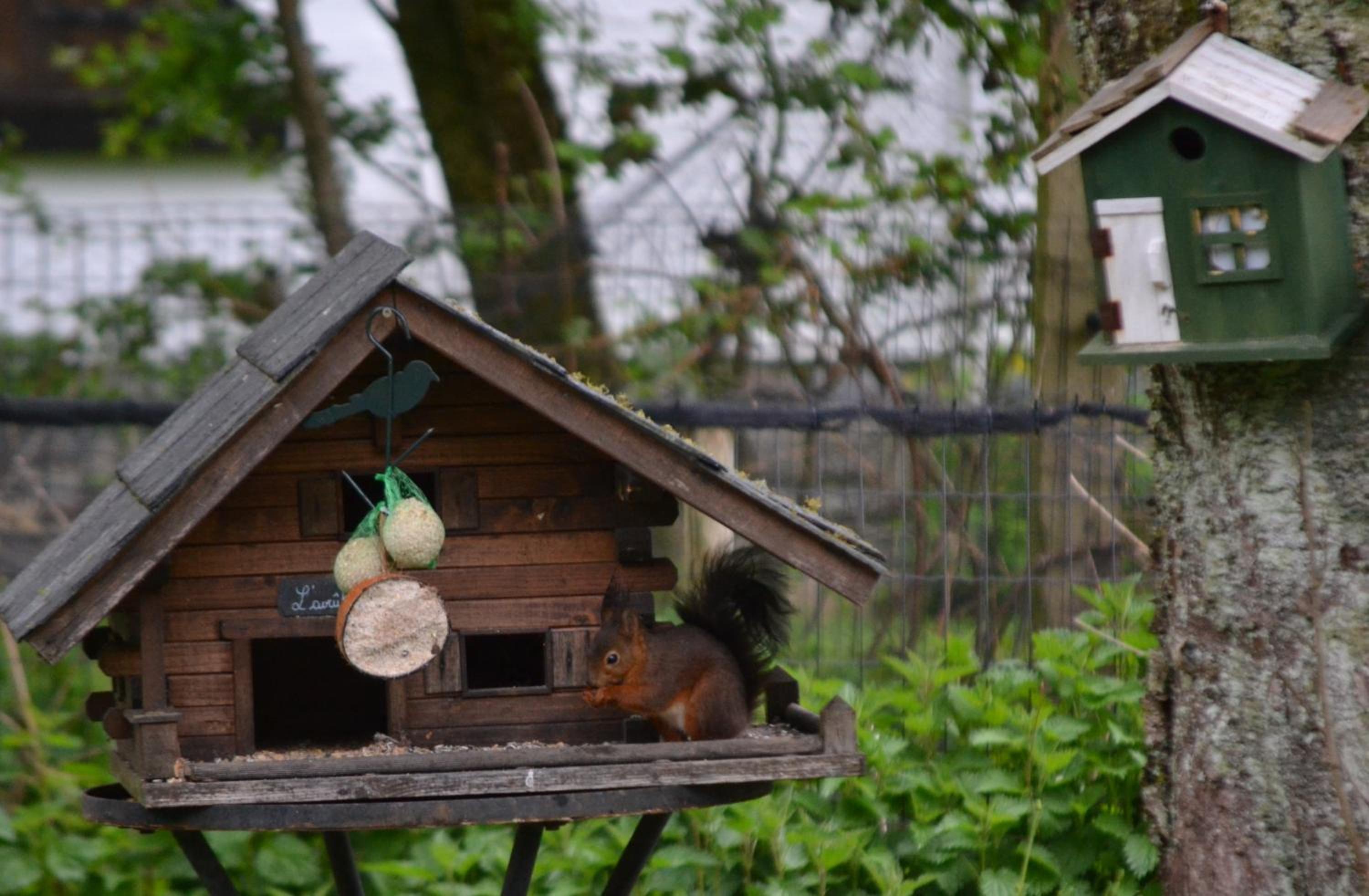 A la ferme du Pere Eugene