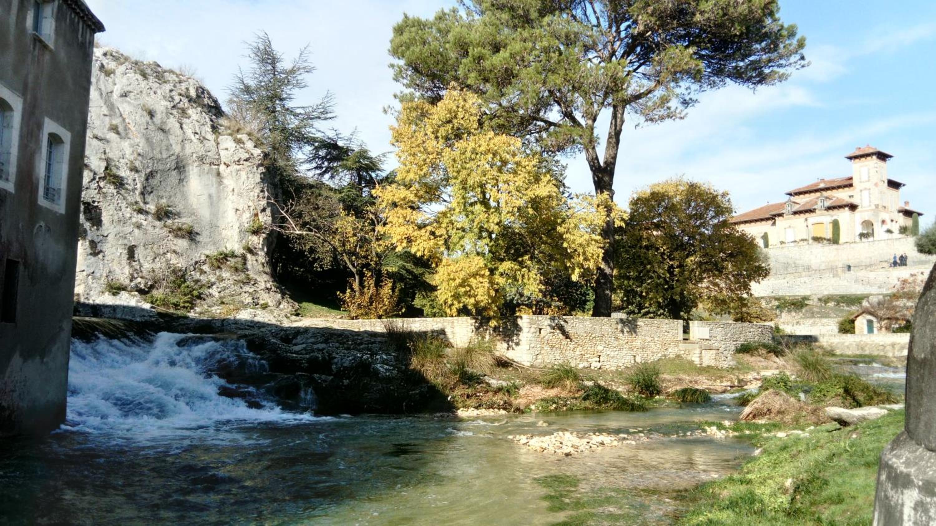 Photo 12