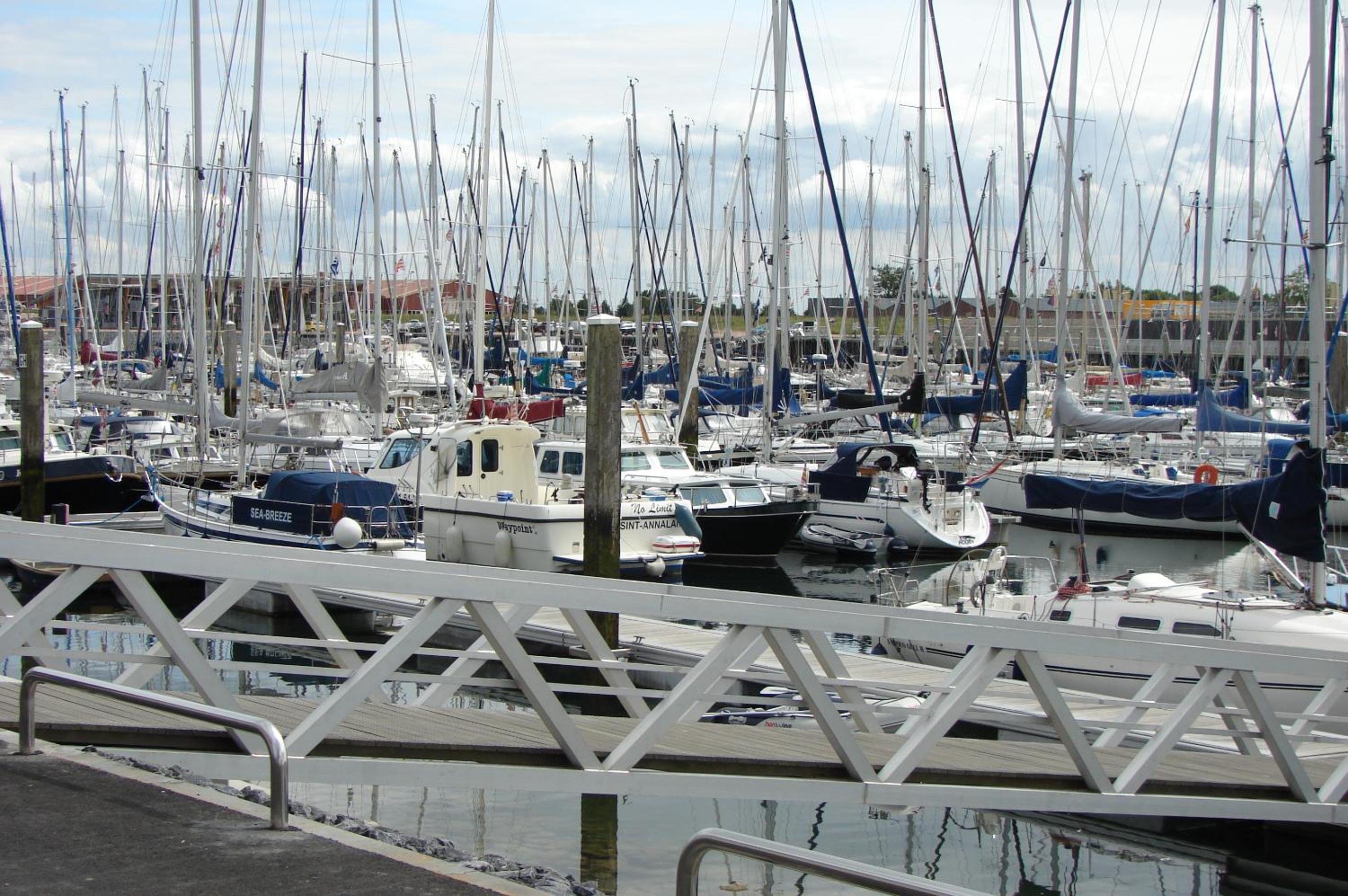 Photo 43