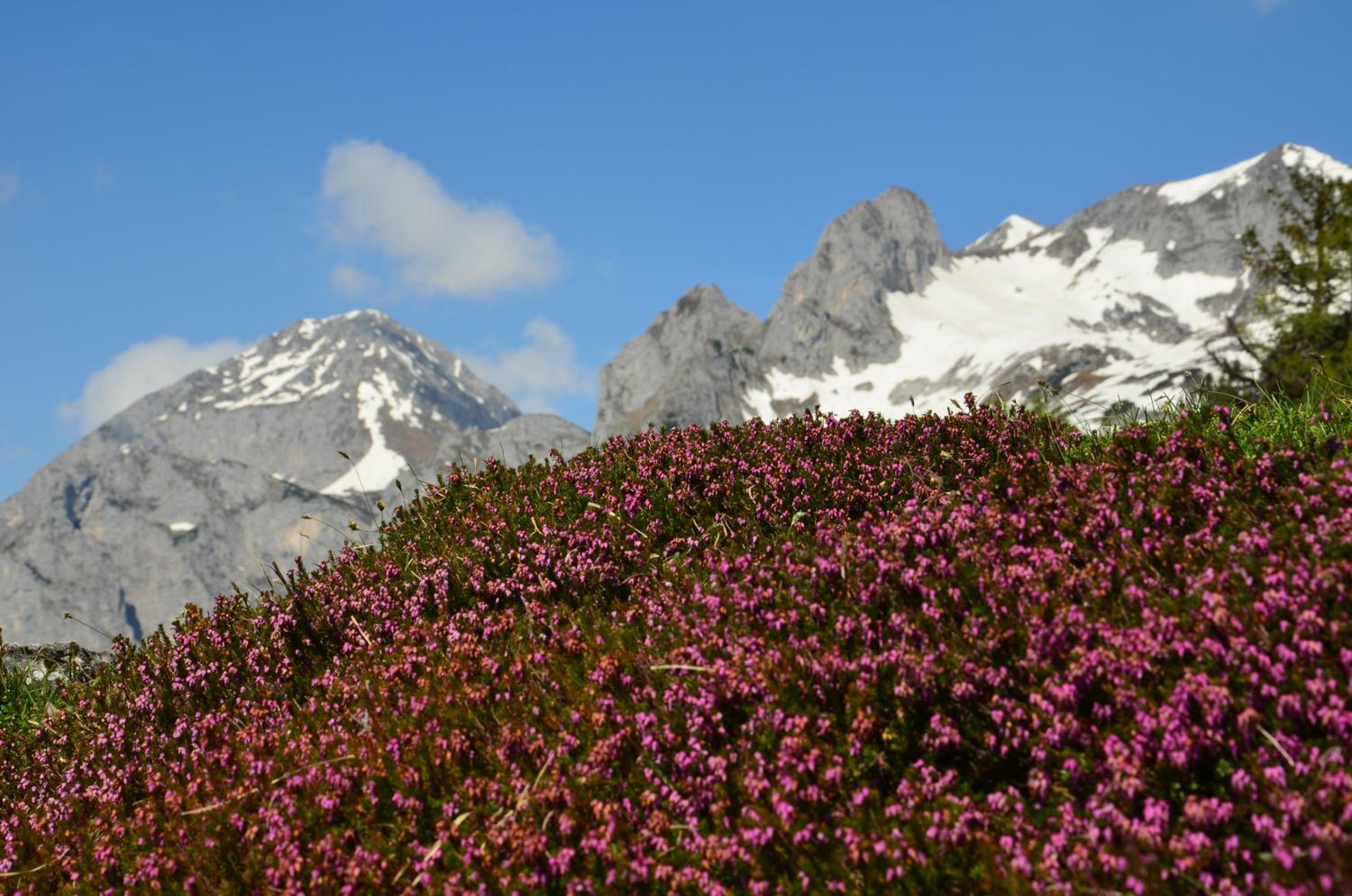 Apartment Tennengebirge